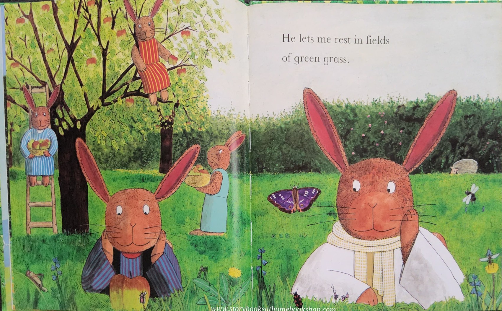 หนังสือนิทานปกแข็ง** 🍓🍓THE LORD IS MY SHEPHERD