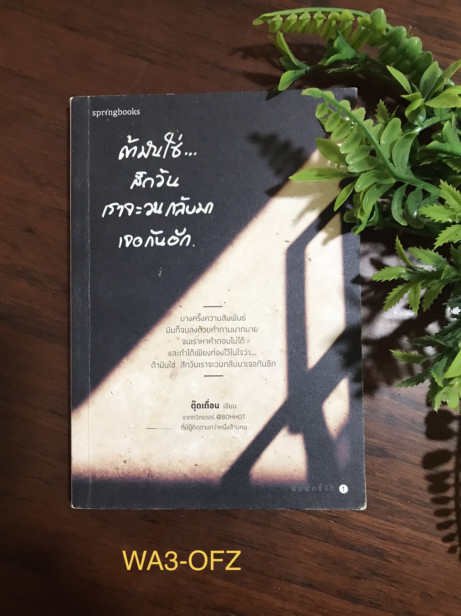 ถ้ามันใช่…สักวันเราจัวนกลับมาเจอกันอีก ผู้เขียน ตุ๊ดเถื่อน สำนักพิมพ์springbooks