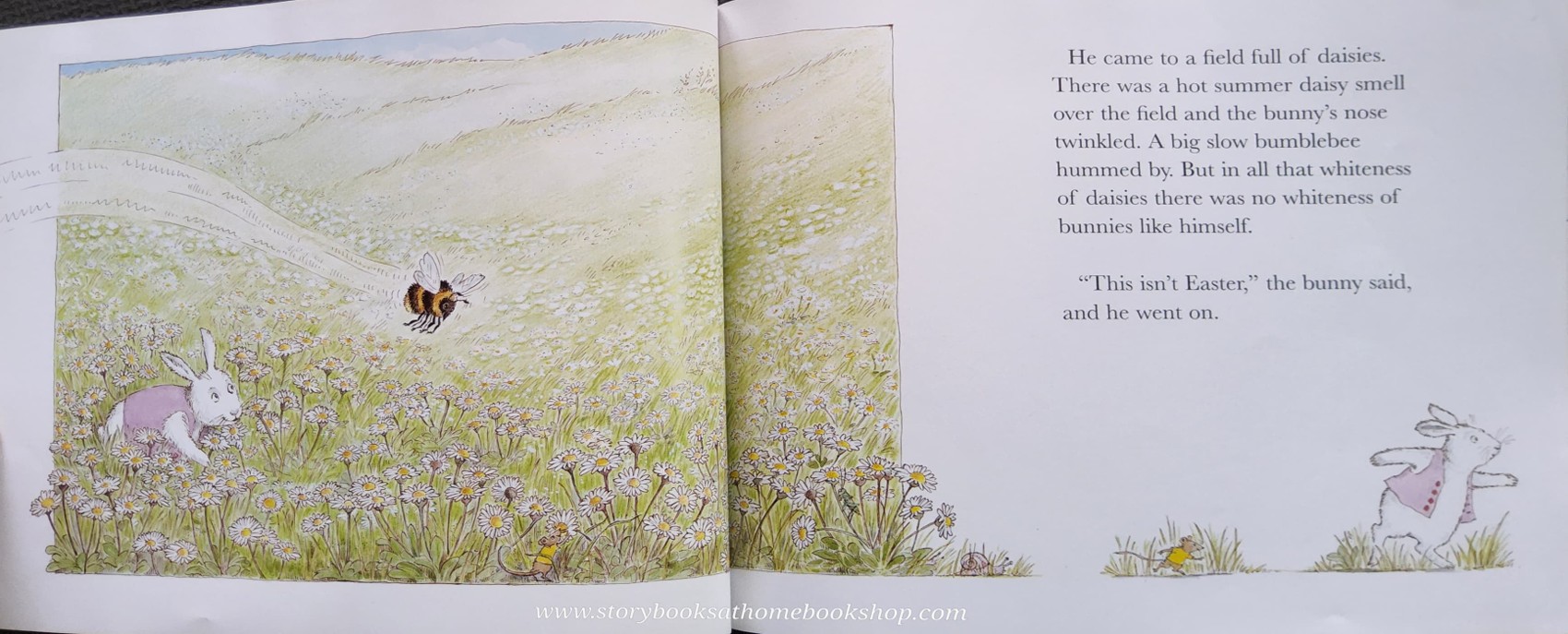 หนังสือนิทานปกอ่อน** 🍅🍓THE BUNNY WHO FOUND EASTER