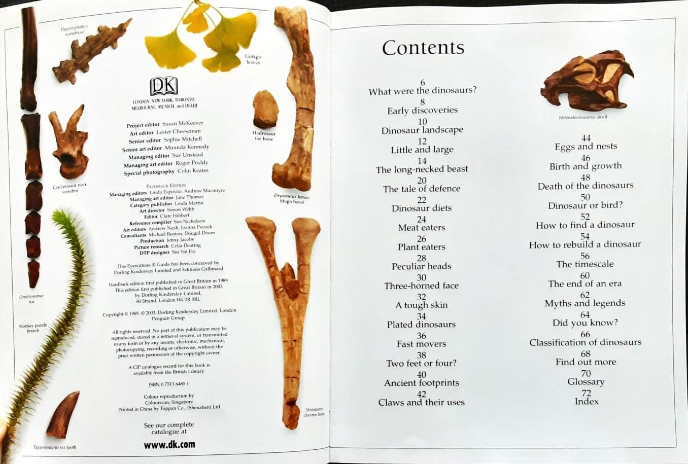 Knowledge Book หนังสือความรู้ ภาษาอังกฤษ 🍅🍓DK Eyewitness DINOSAUR/Used สภาพ 80-90%