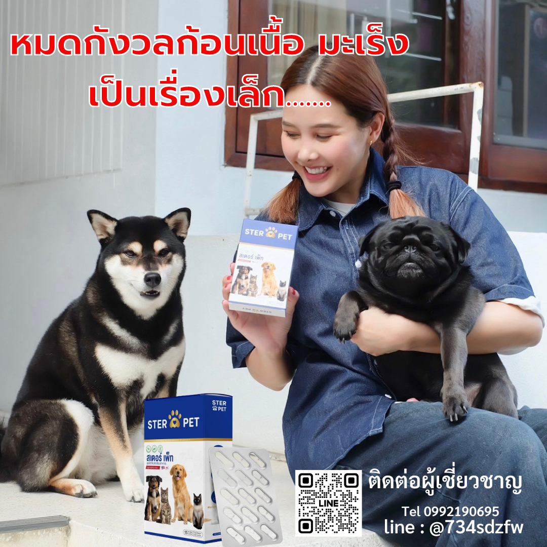 เซตแนะนำ (ชุด 1 เดือน) สเตอร์ เพ็ท Ster Pet เนื้องอกหมาแมว ก้อนเนื้อหมาแมว มะเร็งสุนัขแมว ลดอักเสบ ลดขนาดก้อนเนื้อ ซึม ไม่ร่าเริง เบื่ออาหาร น้ำหนักลด ไตวายหมาแมว แผลยุบเร็ว ( 30 แคปซูล)