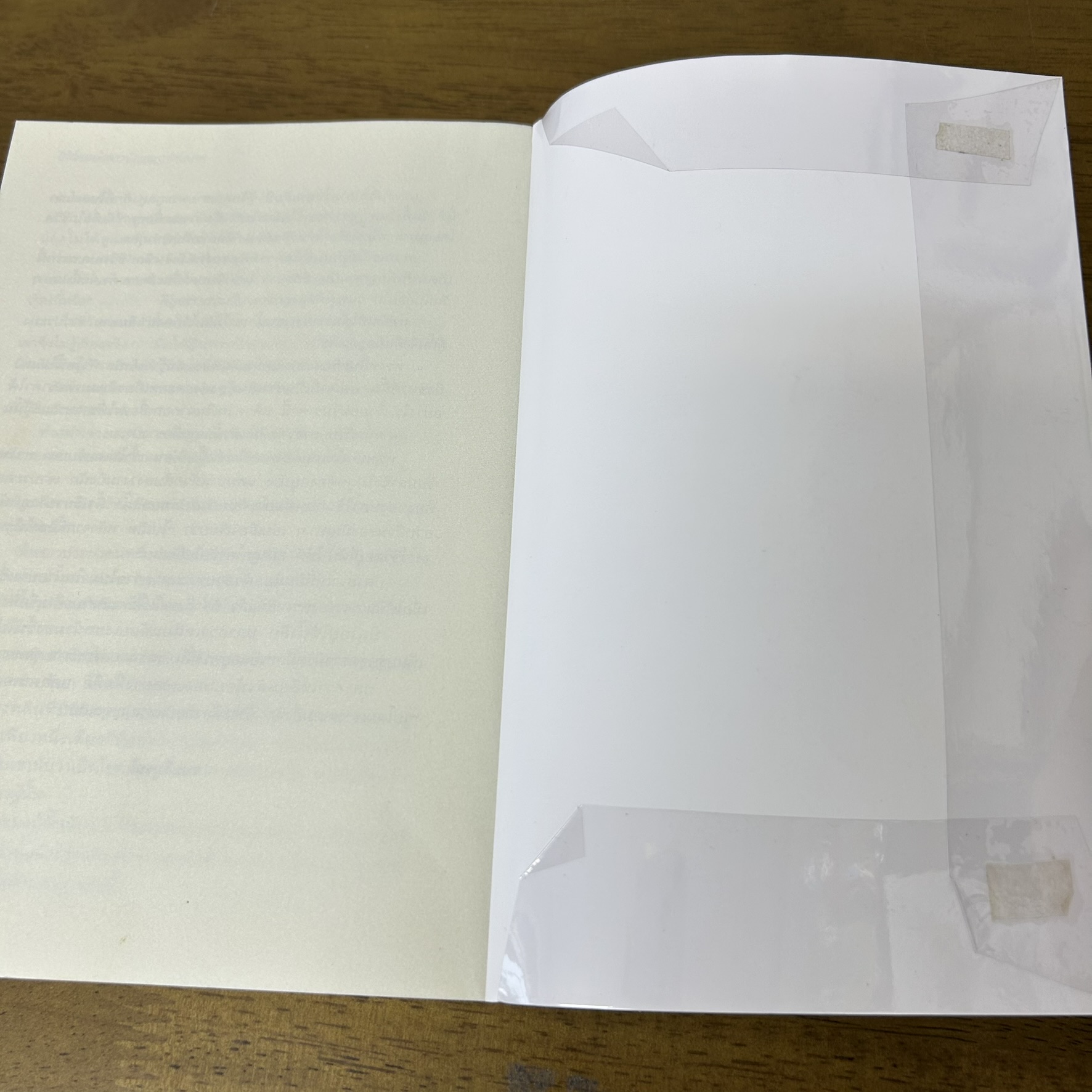 ข้านี่แหละปลาน้อยของท่านเทพ ... หมั่วฉาฉวี่ฉี (มือสอง) นิยาย แปลจีน นิยายรัก อรุณ