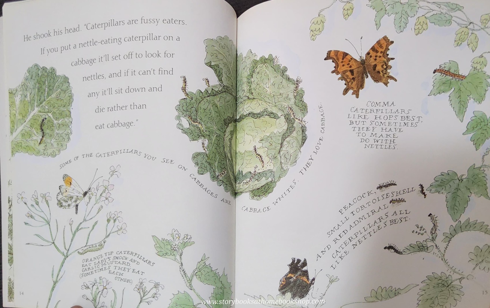 หนังสือนิทานปกอ่อน** 🍅🍓NATURE STORYBOOKS:CATERPILLAR BUTTERFLY BY VIVIAN FRENCH