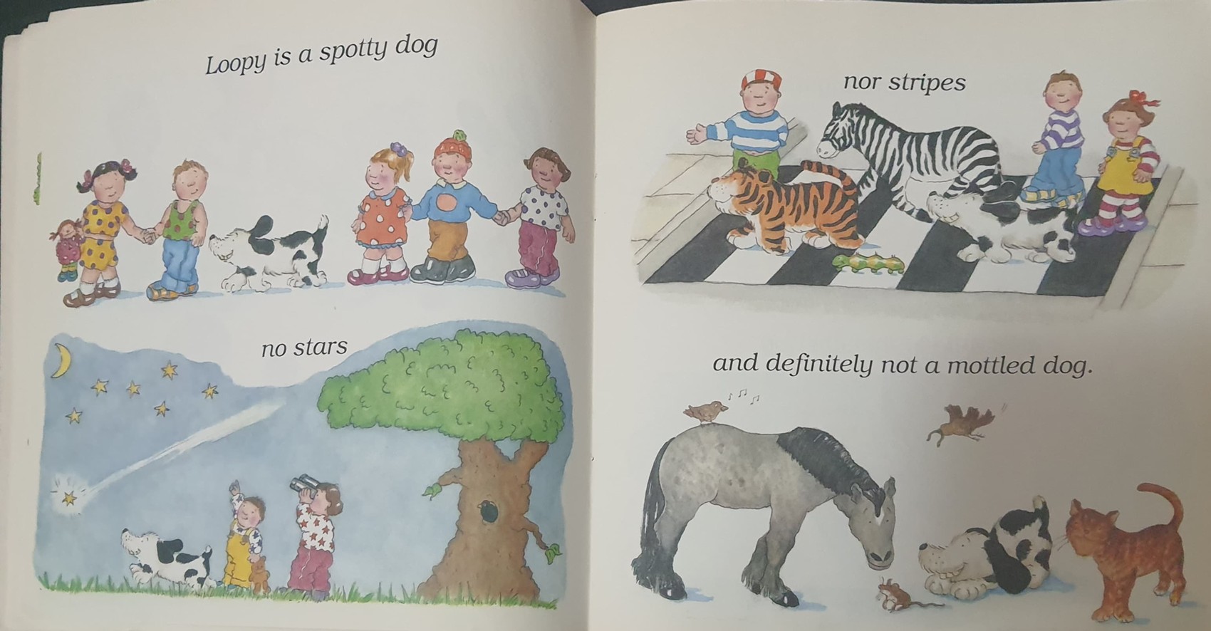 หนังสือนิทานปกอ่อน** 🍅🍓LIFE WITH LOOPY BY LIBBY BUTTERWORTH