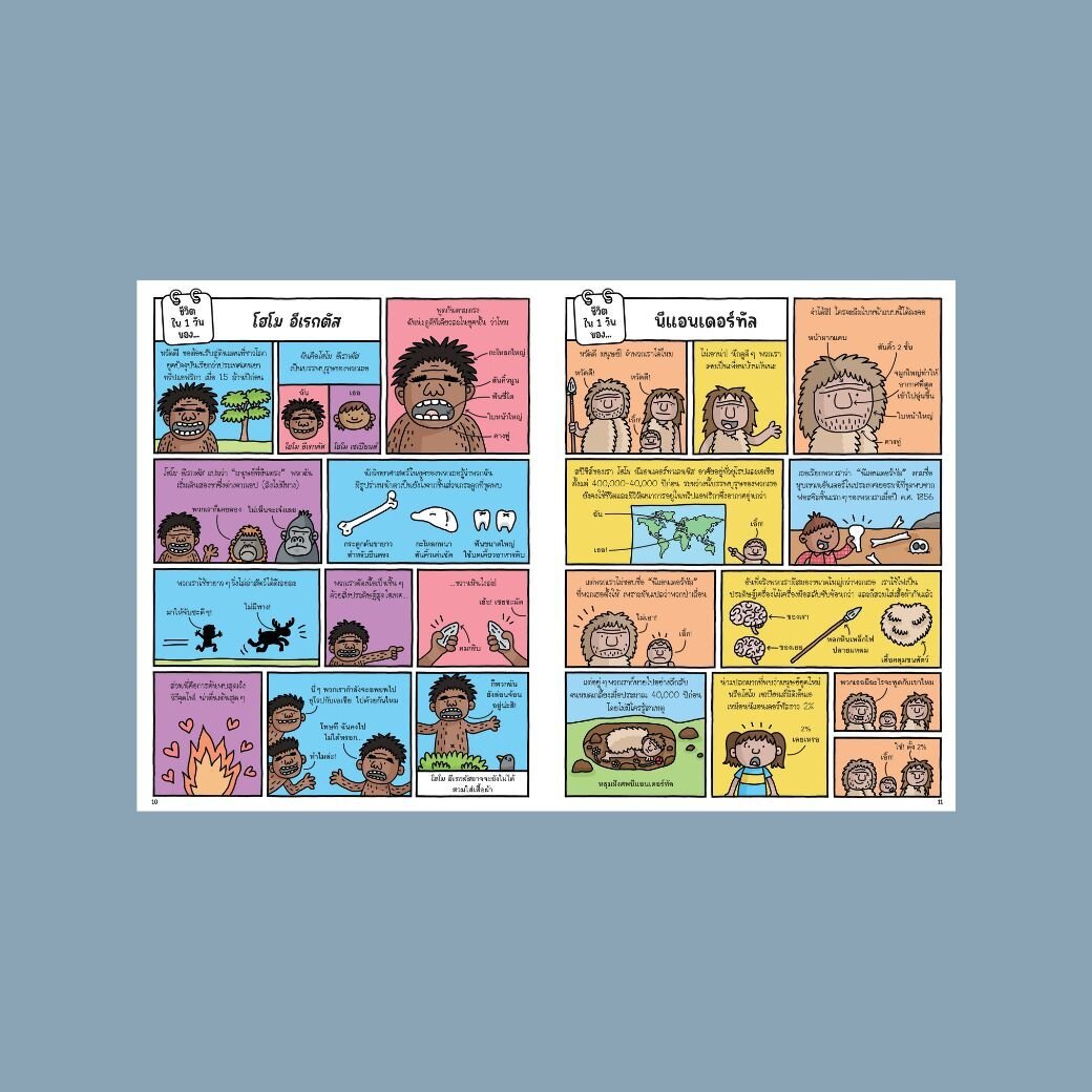 [Pre-order][หนังสือใหม่] ชีวิตใน 1 วันของมนุษย์ถ้ำ แมวบนเรือ และเรื่องราวระหว่างนั้น (จัดส่ง 11กย68)