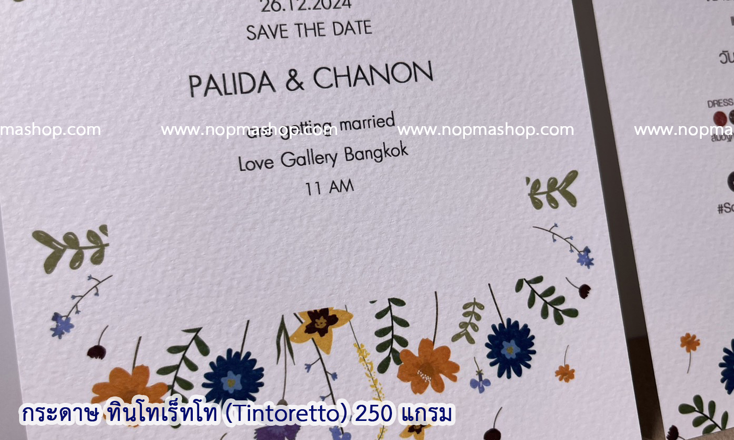 Tintoretto, กระดาษวาดเขียน, drawing paper, กระดาษผิวหยาบ, กระดาษลายผิวเปลือกส้ม