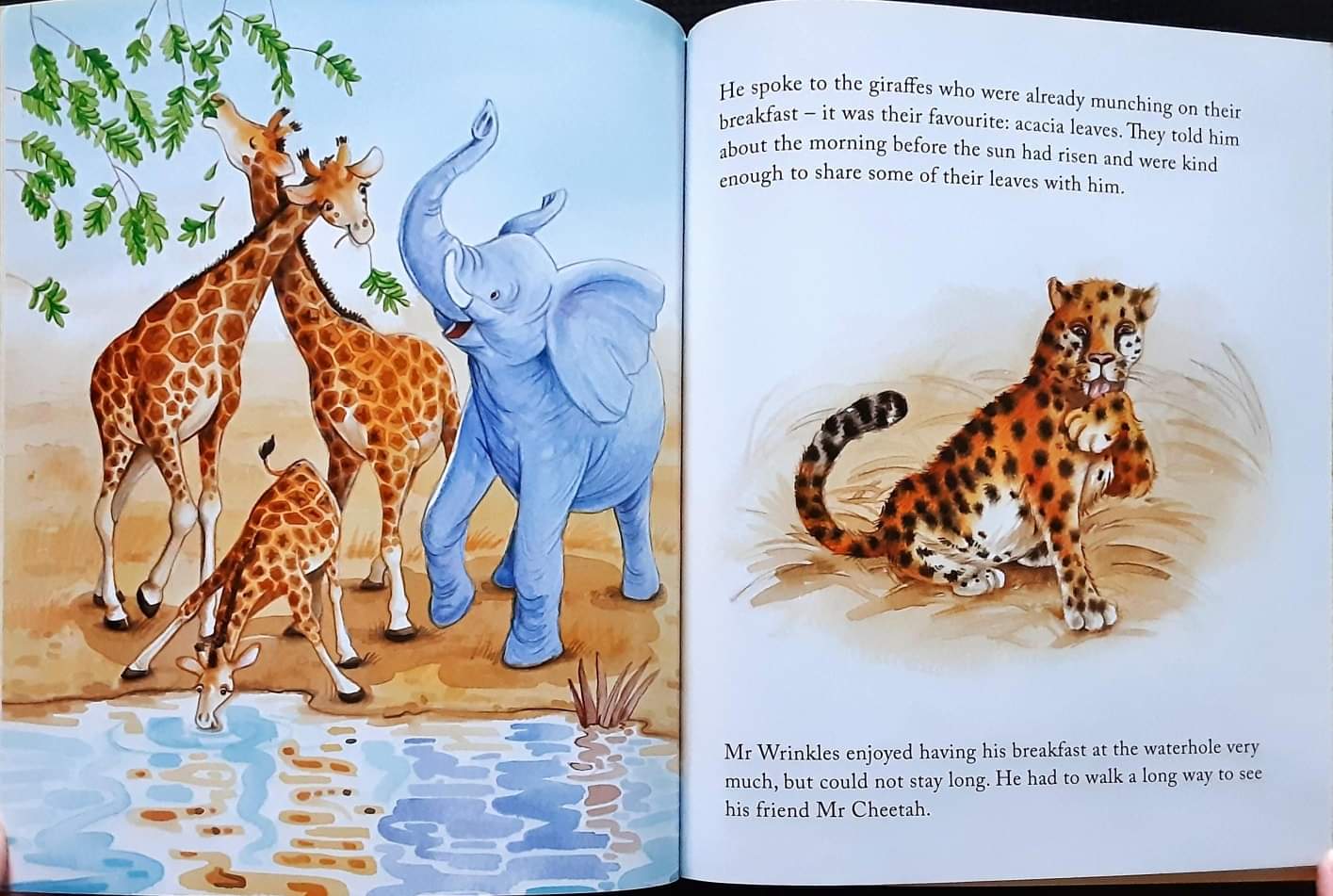 หนังสือนิทานปกอ่อน** 🍅🍓Mr Wrinkles