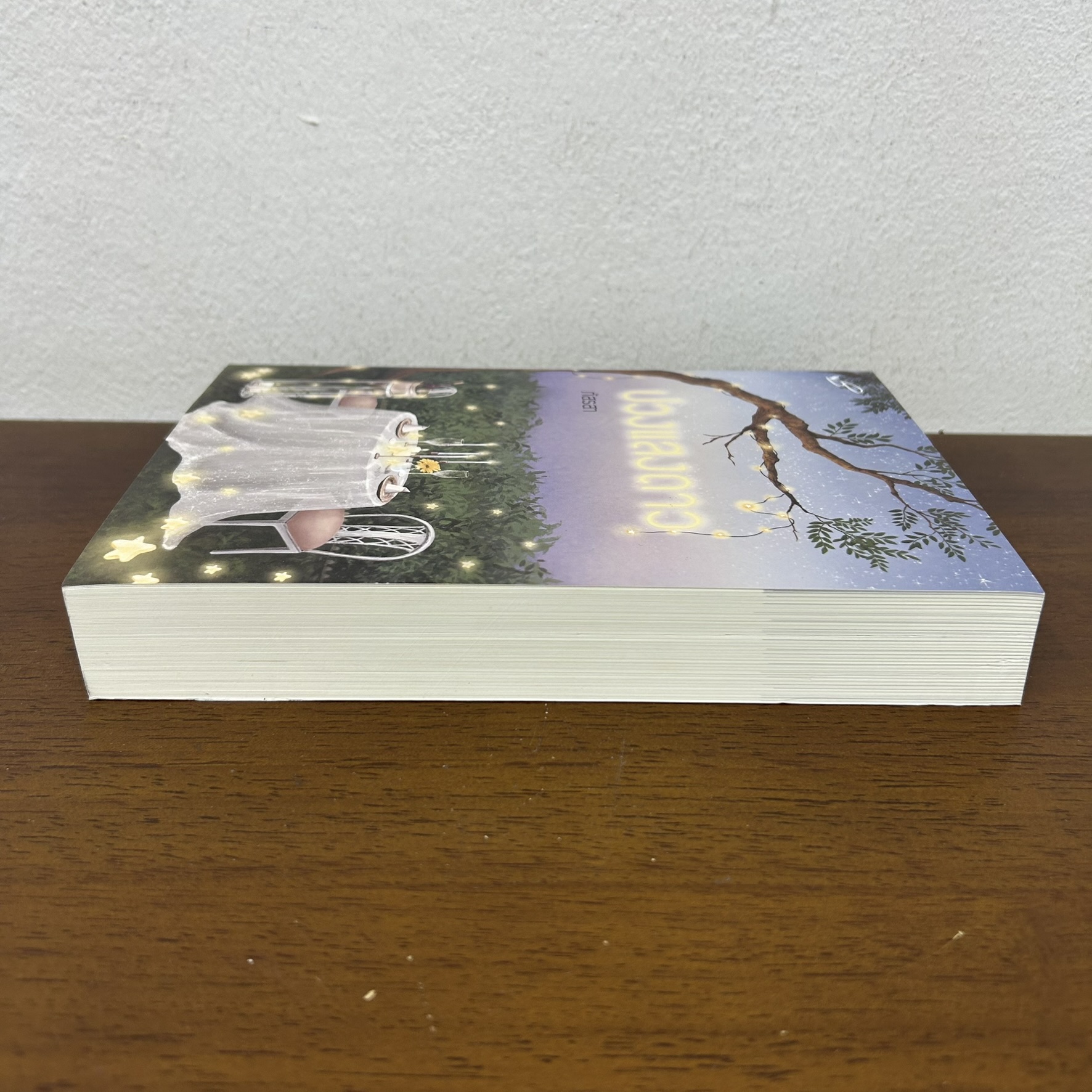 บ่วงแสงดาว ... ภัสรสา (มือสอง) นิยาย โรแมนติก ทำมือ