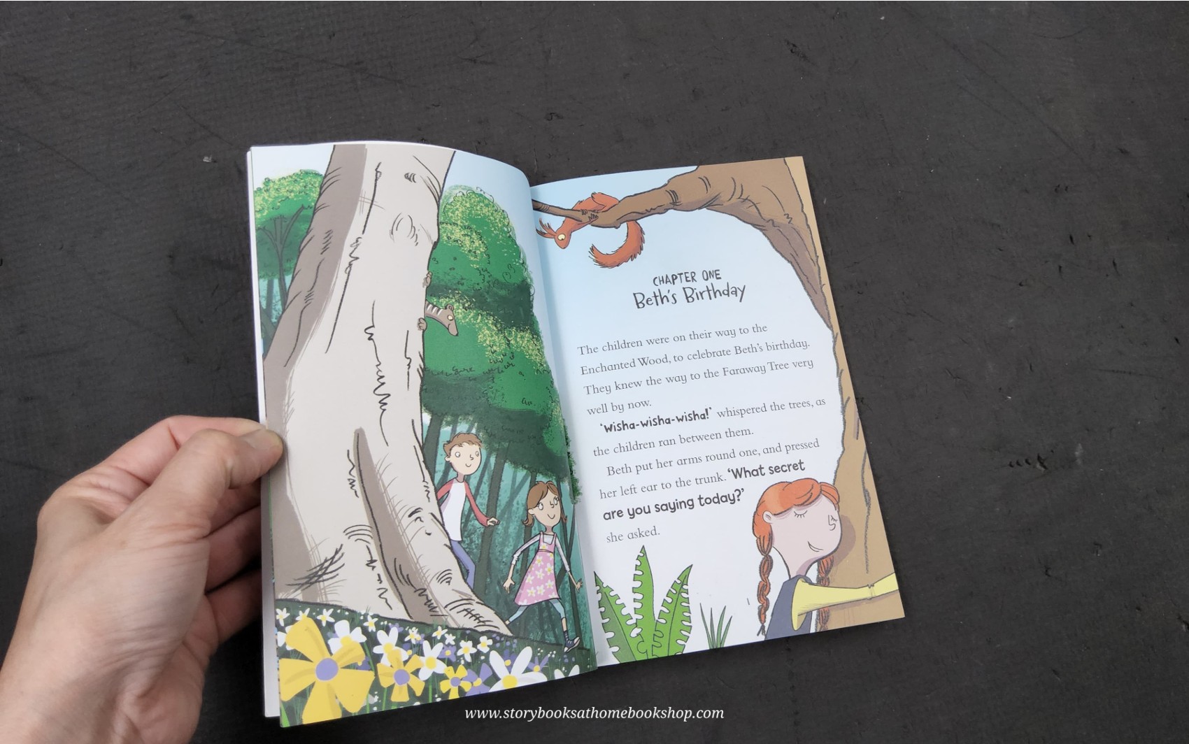 วรรณกรรมเยาวชน ** **หนังสือนิทานปกอ่อน** 🍅🍅A FARAWAY TREE ADVENTURE THE LAND OF BIRTHDAYS BY ENID BLYTON