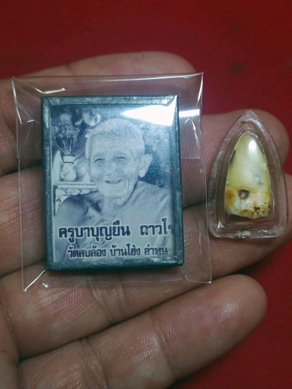 พระทันตธาตุ พร้อมรูปถ่ายหลวงปูู่่ครูบาบุญยืน วัดสบล้อง อ.บ้านโฮ่่ง จ.ลำพูน รูปถ่ายสร้าง พ.ศ.๒๕๕๒ จำนวนการสร้าง ๑๐๘ รูป ชุดนี้เป็นของพ่อหนานไพบูลย์ อายุ ๗๕ ปี (บันทีก ๒๕๖๖) ท่านเป็นศิษย์อุปฐากคอยดูแลหลวงปู่และครูบาบุญยืนมีศักดิ์เป็นลุงของพ่อหนานไพบูลย์ด้วย