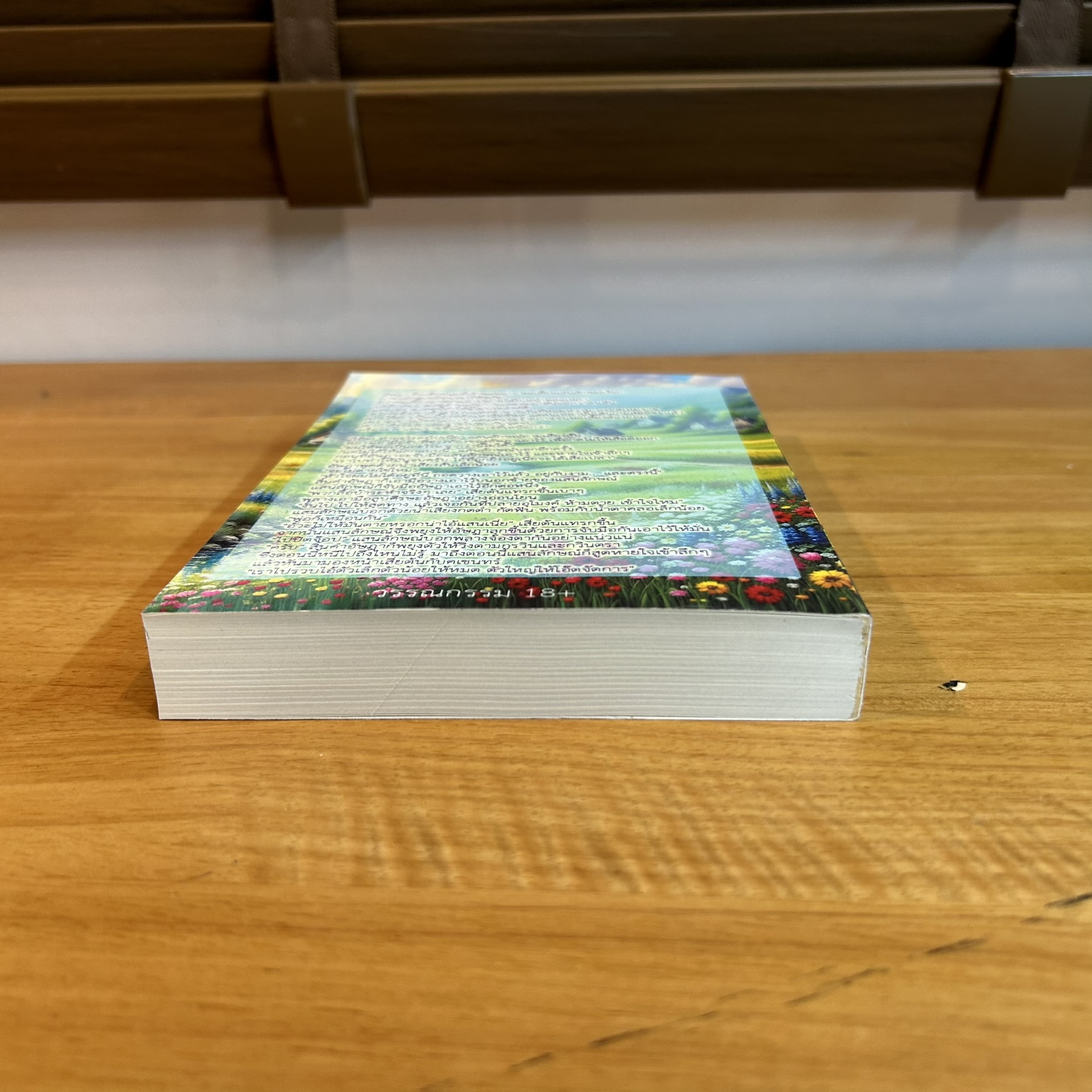 แสนร้ายซ่อนรัก ... มณีมายา (มือสอง) ปก 399 นิยายโรแมนติก นิยายทำมือ