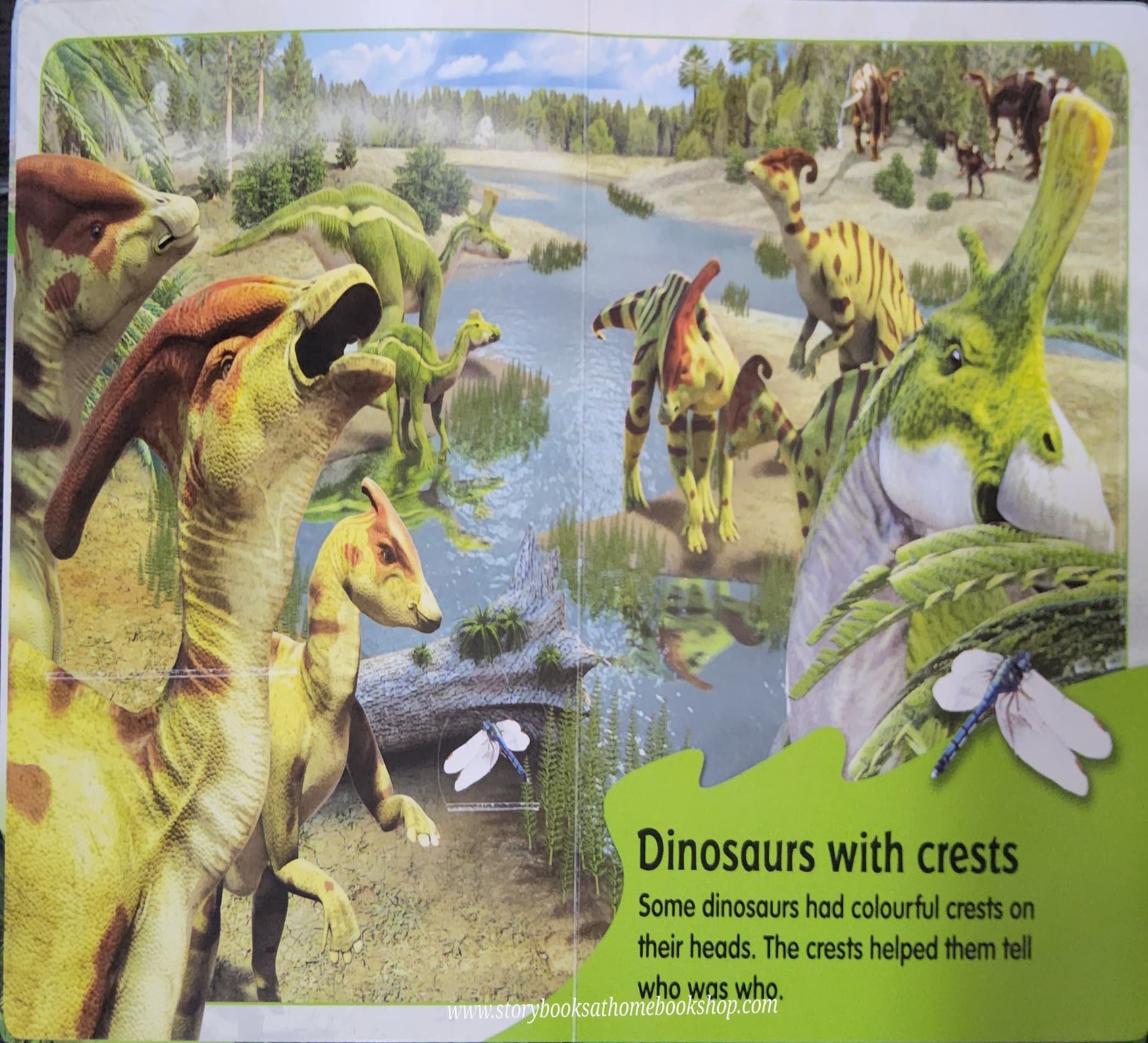 KNOWLEDGE FLAPS BOOK** 🍅🍓LIFE AND EXPLORE DINOSAURS:WHAT'S UNDER THE FLAPS?