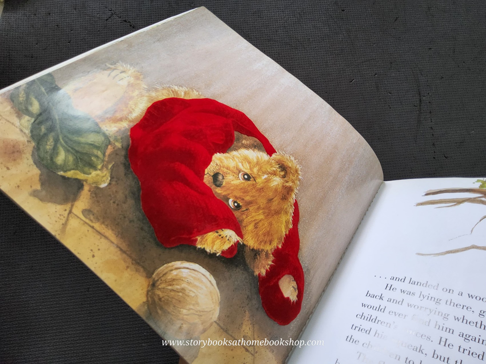 หนังสือนิทานปกอ่อน TOUCH AND FEEL** 🍅LITTLE TEDDY LEFT BEHIND♥️♥️