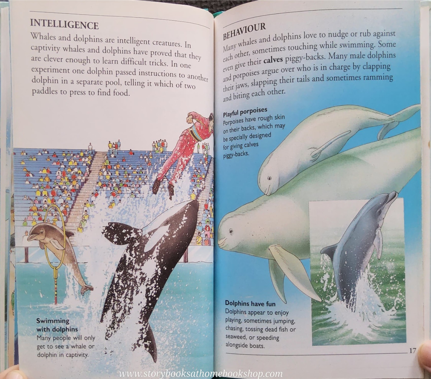 KNOWLEDGE BOOK** ♥️♥️WHALES AND DOPHINS (WITH FOLDOUT BLUE WHALE)