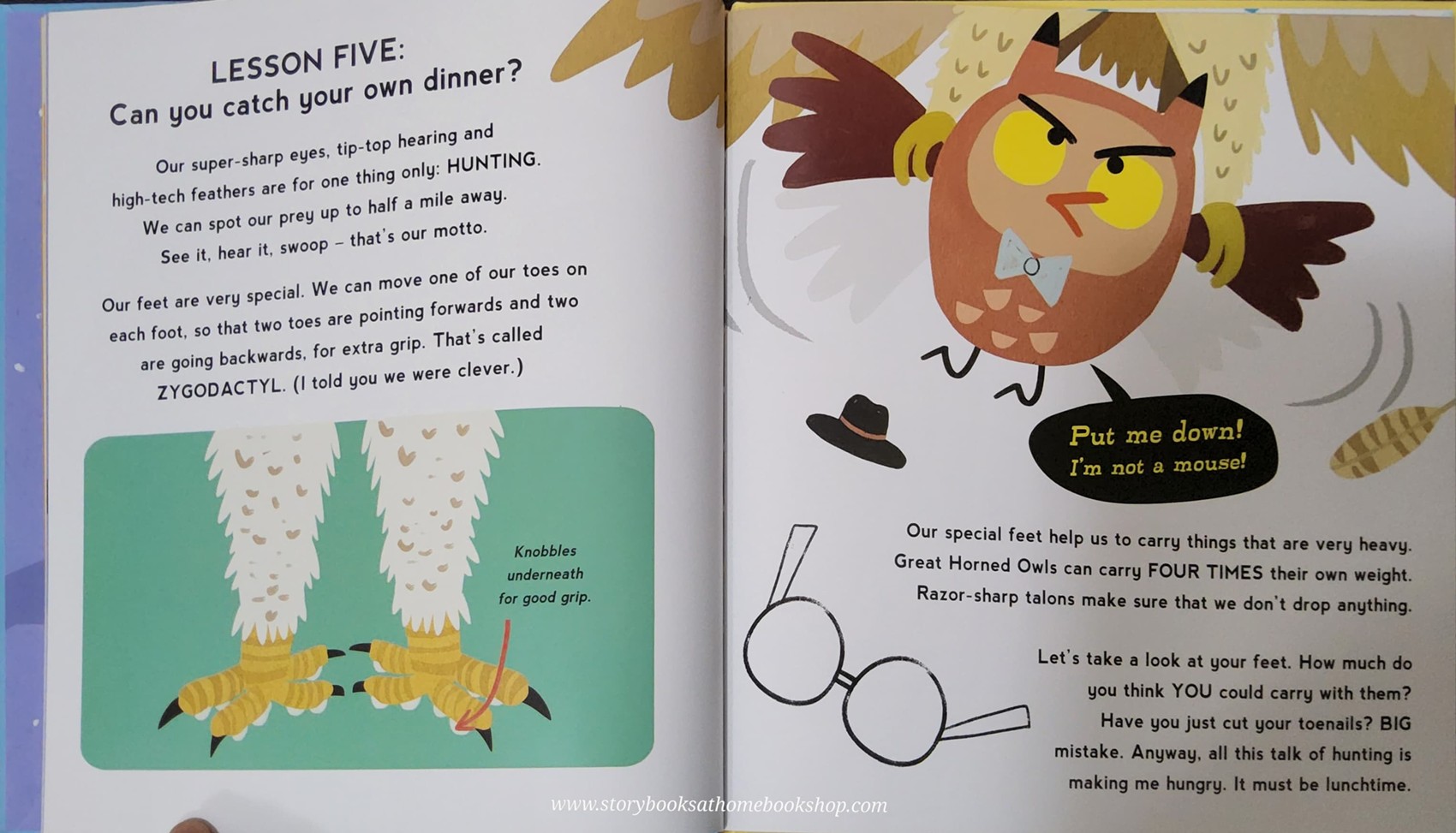 หนังสือนิทานปกแข็ง** 🍅🍓SO YOU WANT TO BE AN OWL