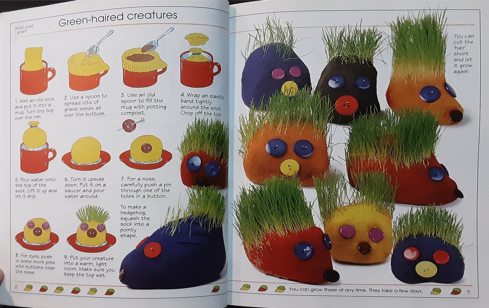 Knowledge Book หนังสือความรู้ 🍓🍓What shall I Grow?