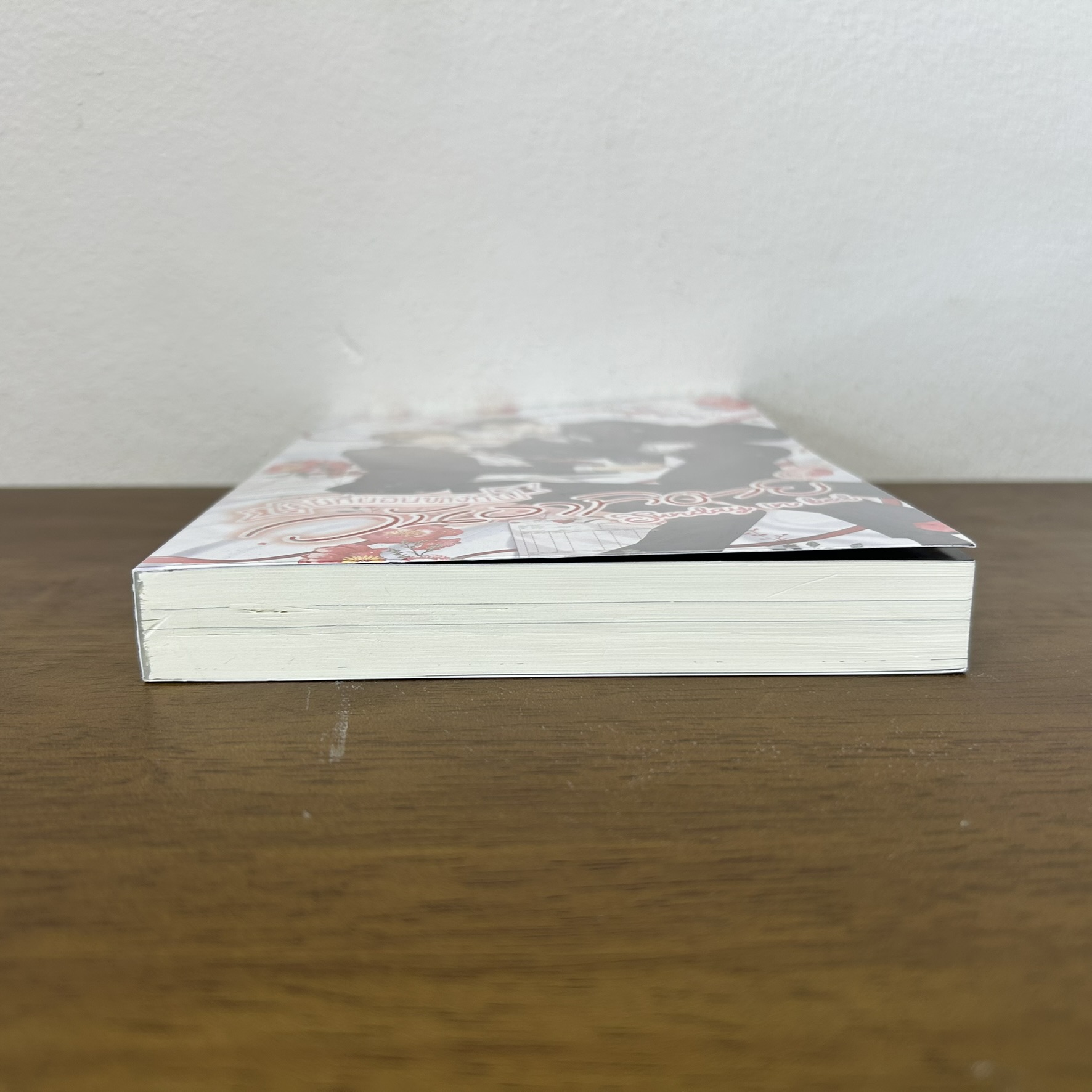 [YAOI] Sunday in bed คนที่นอนข้างกันในวันอาทิตย์ ... Babybaphomet (มือสอง) นิยายวาย SENSE