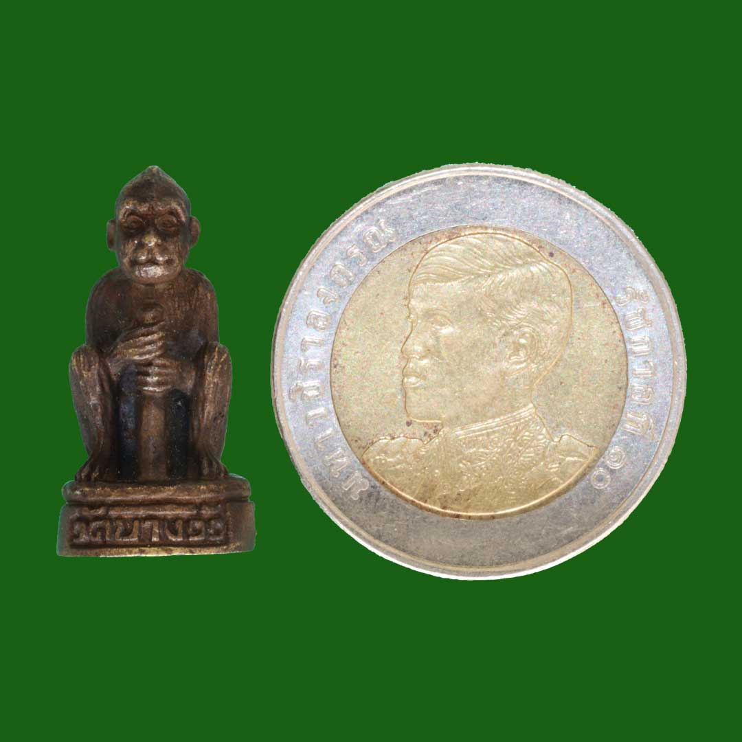 ลิงจับหลัก หลวงพ่อดิ่ง วัดบางวัว รุ่นเสาร์ 5 ปี2553