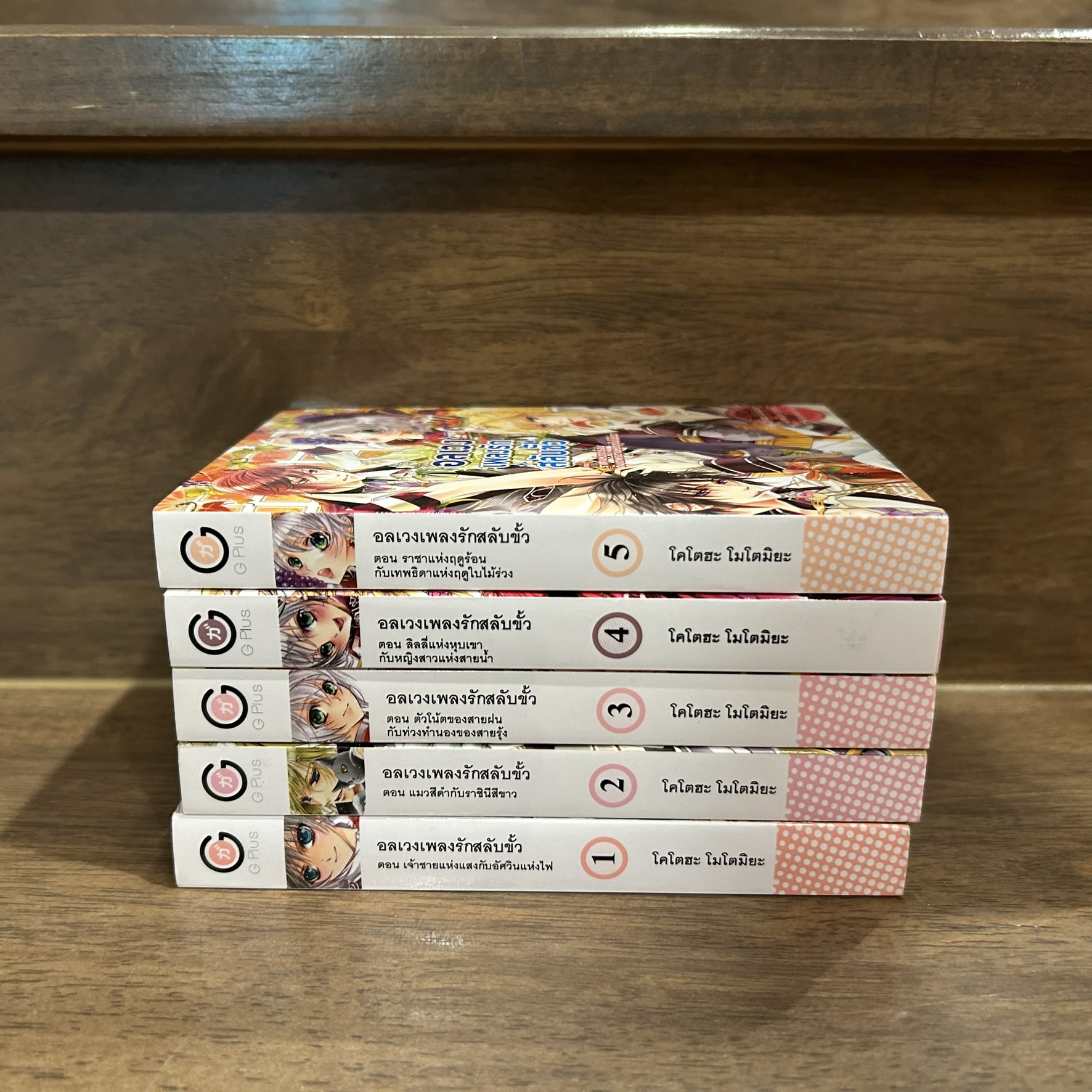 [LIGHT NOVEL] อลเวงเพลงรักสลับขั้ว 1-5 (มือสอง) (ได้ 5 เล่ม)