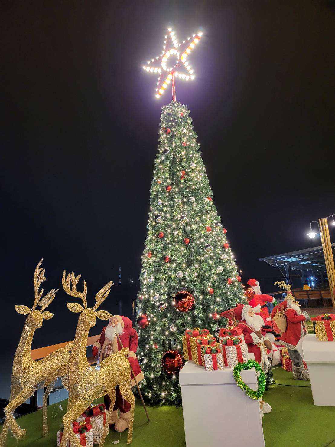 ต้นคริสต์มาสปลอม ขนาด 5เมตร ตกแต่งไฟพร้อมดาวยอดสีแดงสวยงาม