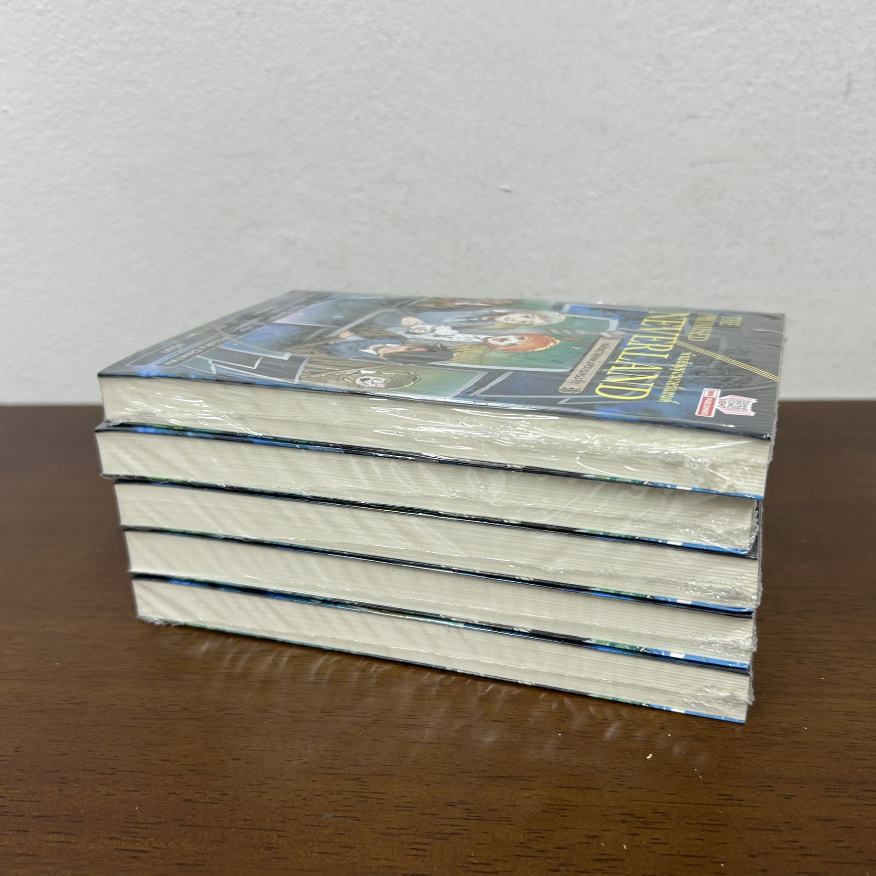 [NOVEL] พันธสัญญาเนเวอร์แลนด์ THE PROMISED NEVERLAND แผ่นภาพแห่งความทรงจำ ... Kaiu Shirai (มือหนึ่งขีดสัน) นิยาย