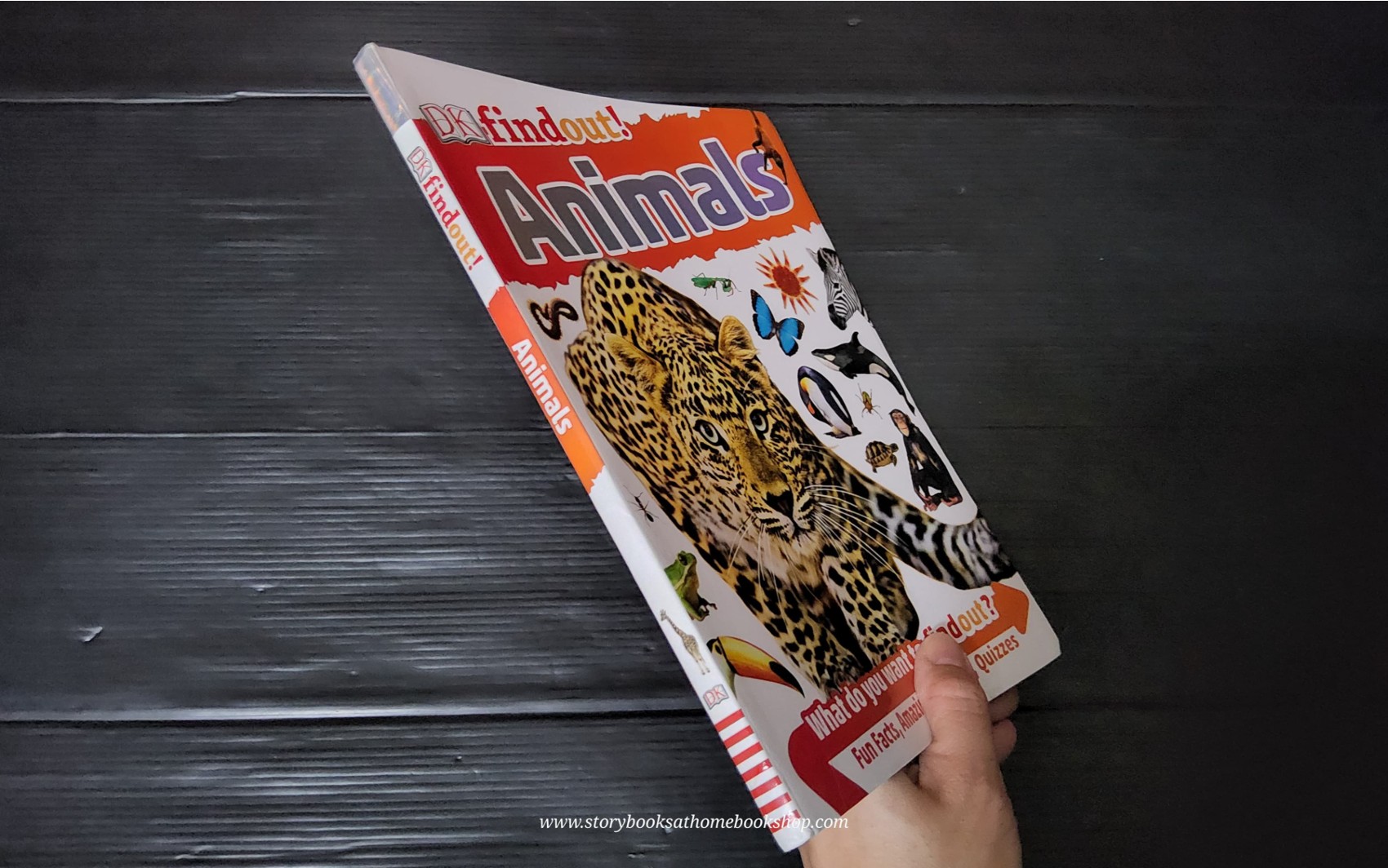 KNOWLEDGE BOOK ** 🍅🍓DK FINDOUT! ANIMALS