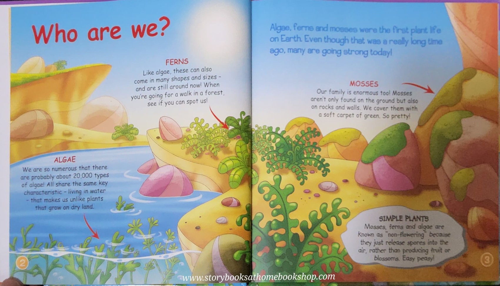 หนังสือนิทานปกแข็ง** 🍅🍓DINOSAURS&FRIENDS READ.LEARN.PLAY:PREHISTORIC PLANTS ALGAE,FERNS AND MOSSES #39