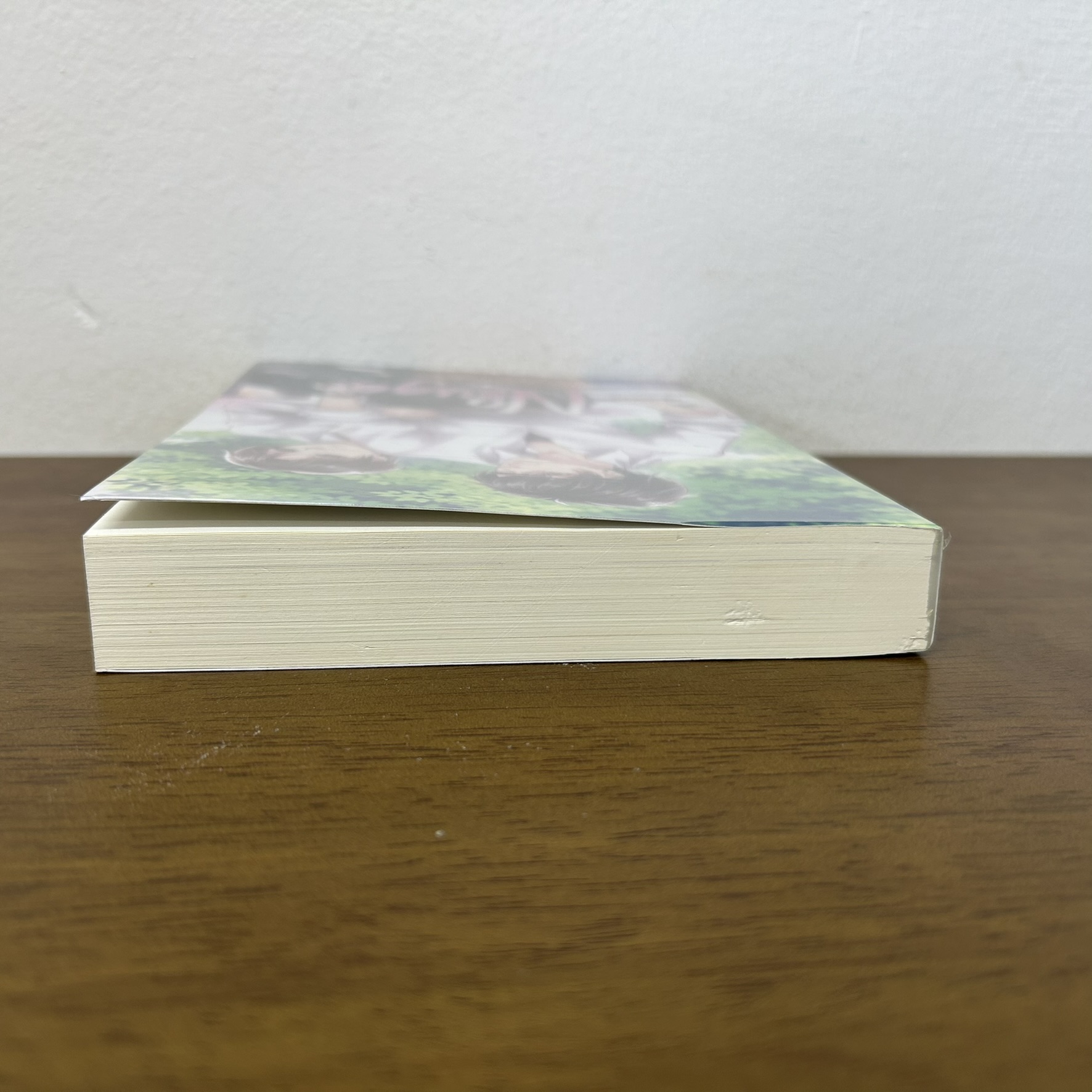 [YAOI] No sugar ... aiaea (มือสอง) นิยายวาย Hermit วายไทย