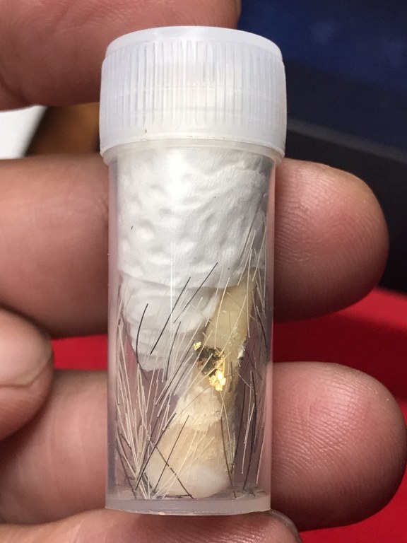 พระทันตธาตุครูบากองแก้ว วัดต้นยางหลวง จ.เชียงใหม่ ได้มาจากกำนันคำ อดีตกำนันบ้านปากกอง อ.สารภี จ.เชียงใหม่ ปัจจุบันอายุ 86 ปี (บันทึก พ.ศ.2566) กำนันคำจะมีคนคอยหาวัตถุมงคลให้ ชื่อว่าลุงสมควรปัจจุบันเสียชีวิตแล้ว ถ้ามีชีวิตอยู่น่าจะมีอายุประมาณ 70 ปี