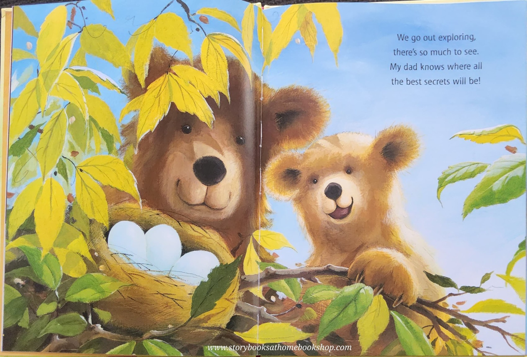 หนังสือนิทานปกแข็ง ** 🍅🍓ME AND MY DAD! BY ALISON RITCHIE