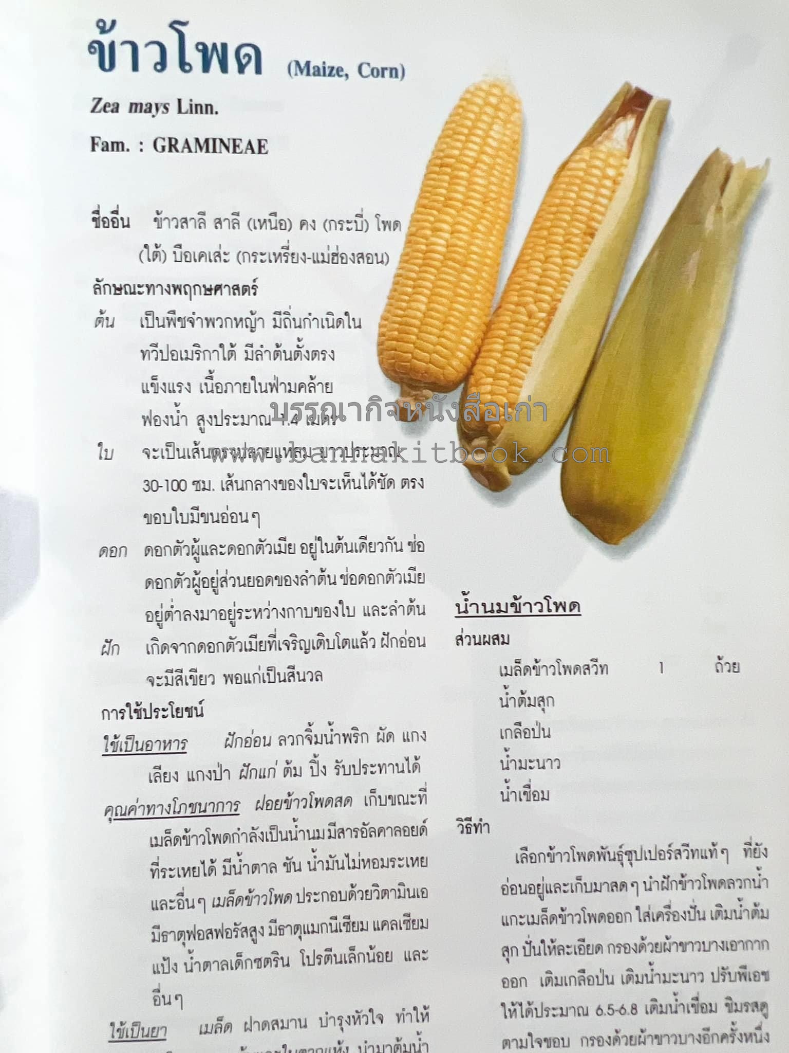 น้ำสมุนไพร 108 สูตร-วิธีทำจากผักพื้นบ้านและผลไม้ไทย โดย สถาบันการแพทย์แผนไทย.