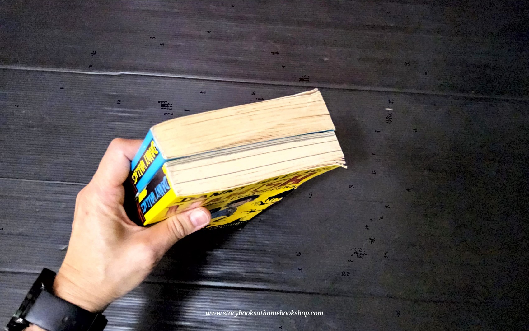 วรรณกรรมเยาวชน** 🍅[SET 2 BOOKS] HAMISH AND THE NEVER PEOPLE+THE WORLD STOPPERS BY DENNY WALLACE