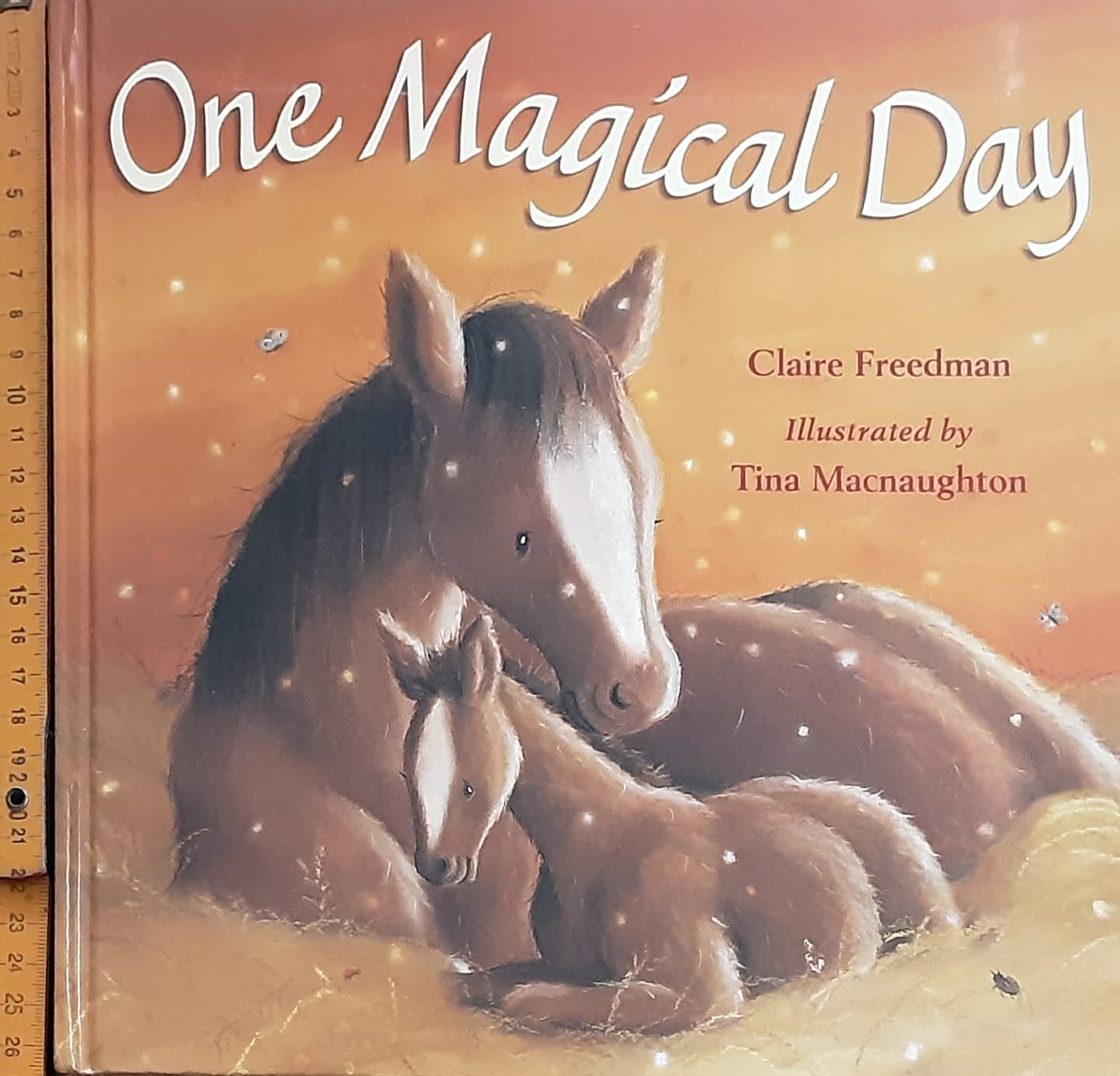 หนังสือนิทานปกแข็ง ** 🍅🍓 ONE MAGICAL DAY