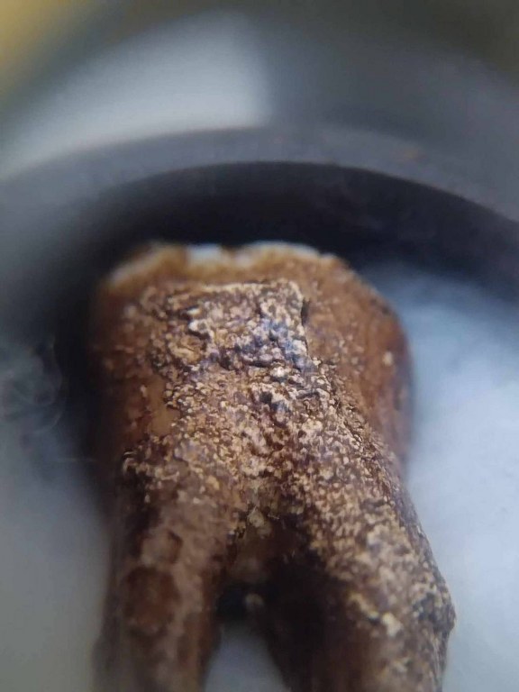 พระทันตธาตุครูบาดี ญาณวุฒิ วัดบ้านดอน อ.ป่าซาง จ.ลำพูน ได้มาจากปู่มา เล่าว่าท่านได้มาตอนครูบาดี ท่านยังทรงขันธุ์ 5 อยู่ เมื่อประมาณปี 2510 กว่า ๆ ท่านจำไม่ได้แล้ว ปัจจุบัน (บันทึก พ.ศ.2566) ปู่มาอายุ 88 ปี ท่านเป็นศิษย์สายตรง เคยรับใช้ครูบาดีมาก่อน