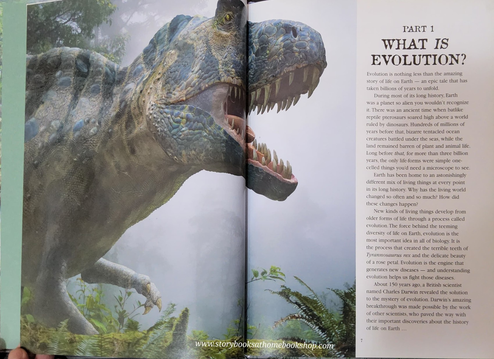 KNOWLEDGE BOOK** ð
ð
EVOLUTION