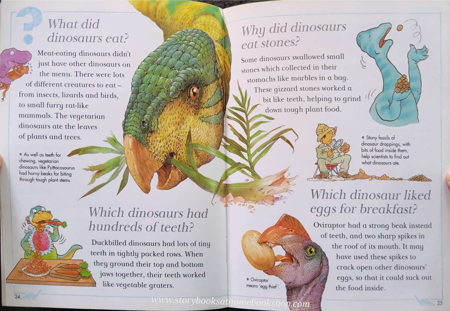 KNOWLEDGE BOOK** ♥️I WONDER WHY TRICERATOPS HAD HORNS AND OTHER QUESTIONS ABOUT DINOSAURS