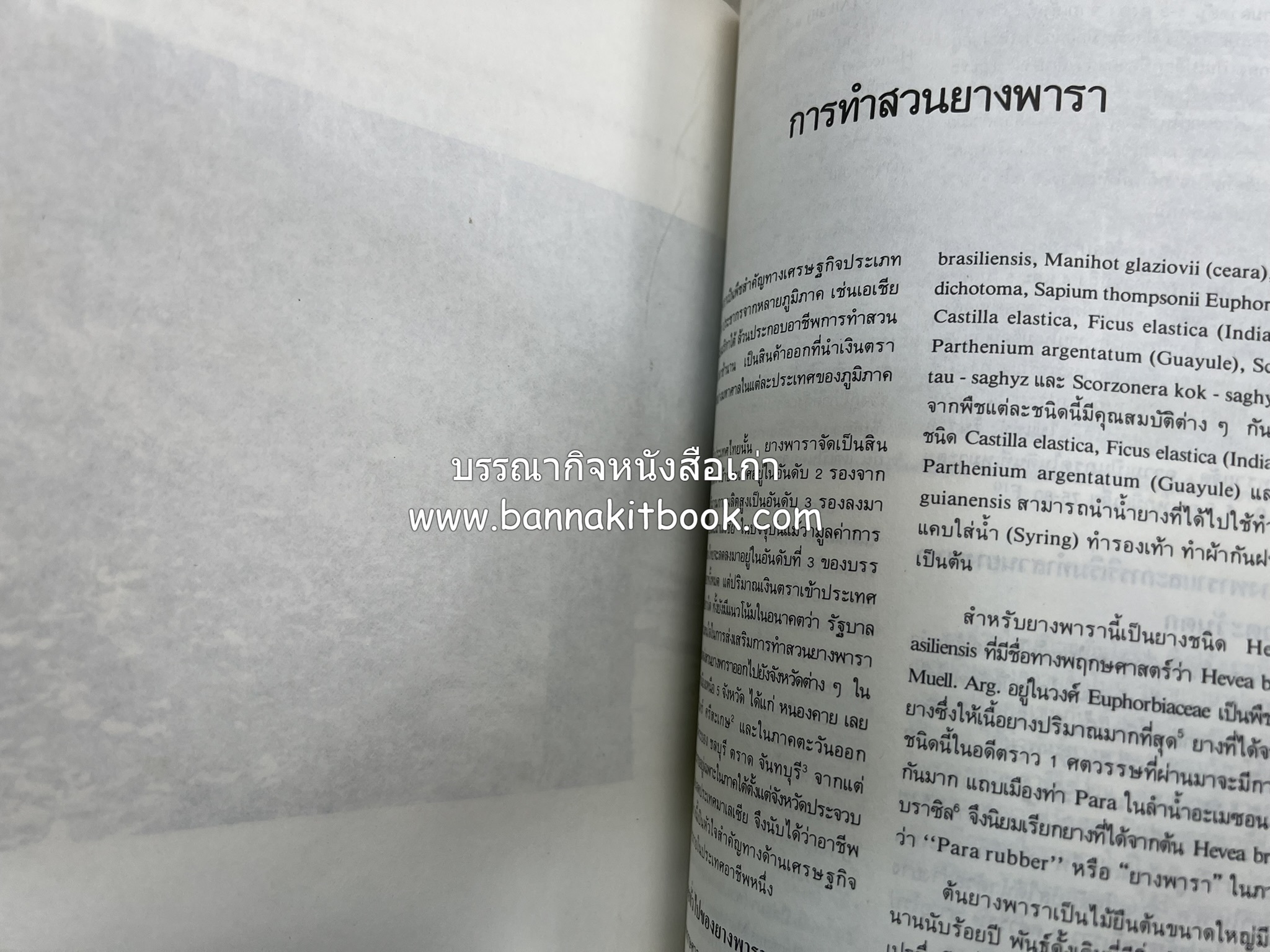 ถลาง ภูเก็ต และชายฝั่งทะเลอันดามัน : โบราณคดี ประวัติศาสตร์ ชาติพันธุ์และเศรษฐกิจ.