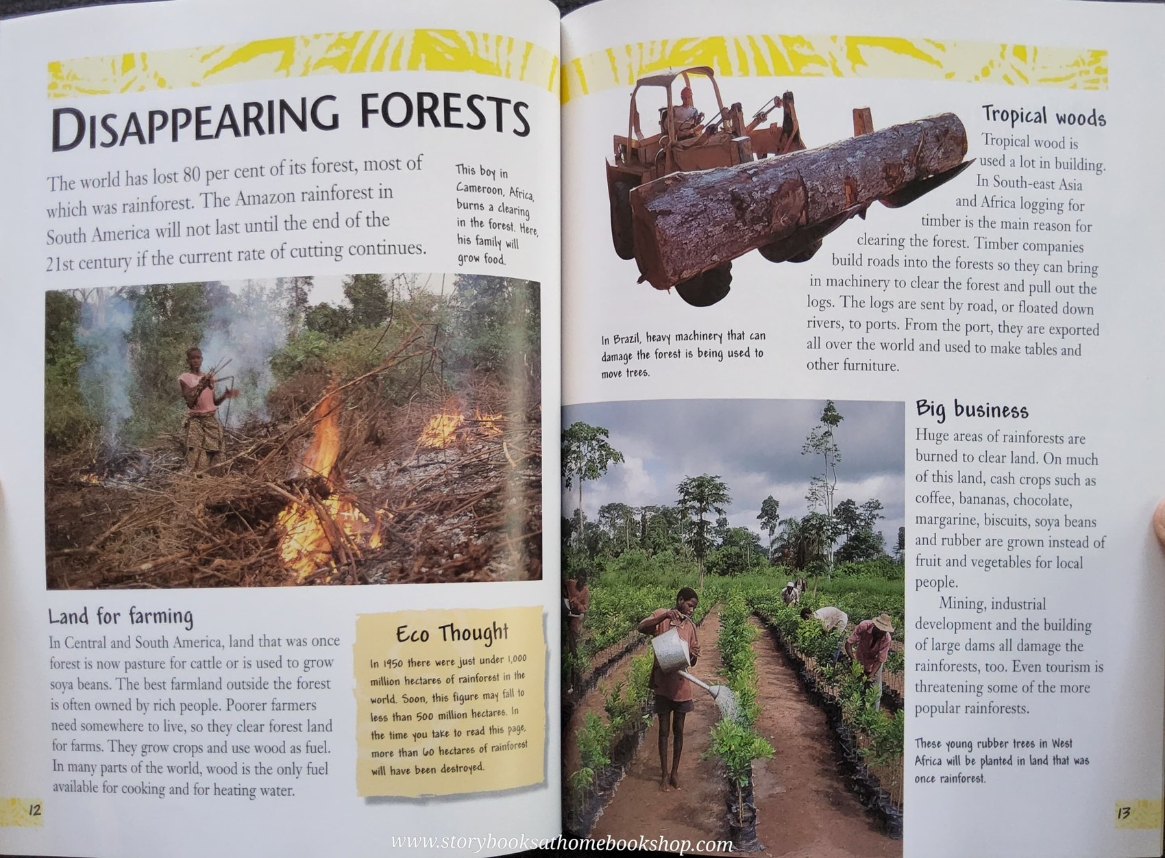 KNOWLEDGE BOOK** ♥️♥️EARTH WATCH SAVING THE RAINFOREST