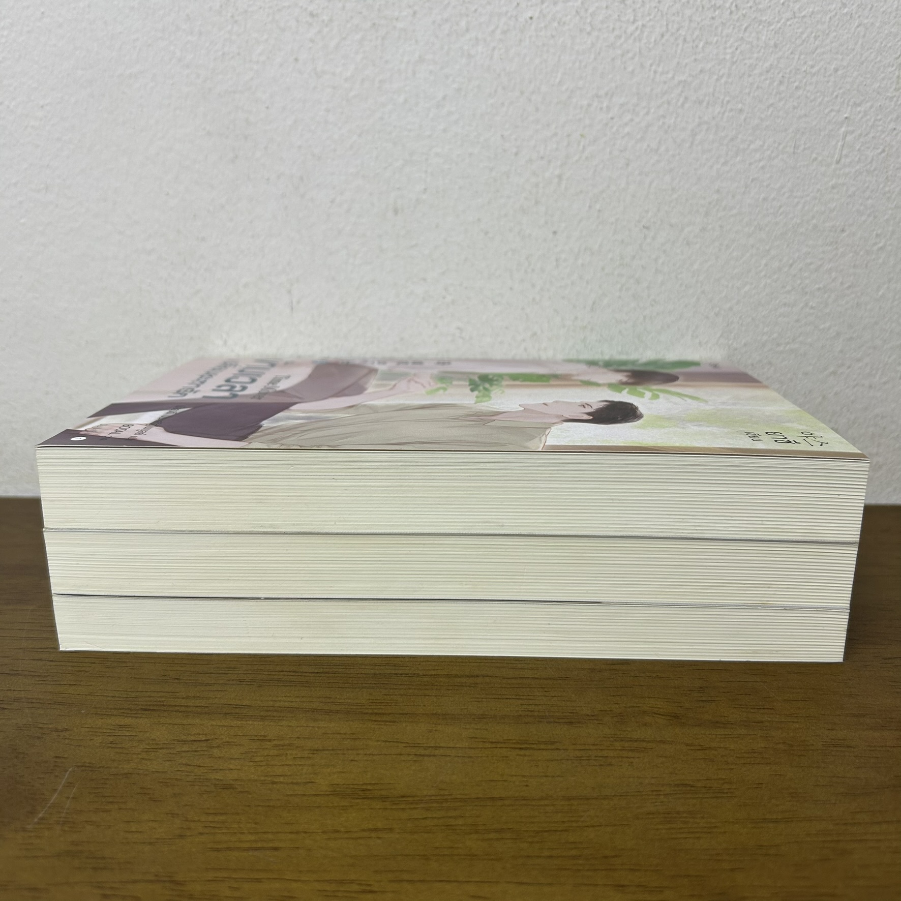 [YAOI] ข้ามเวลาเปลี่ยนชะตารัก เล่ม 1-3 จบ ... ยาซึ (มือสอง) นิยายวาย Rose