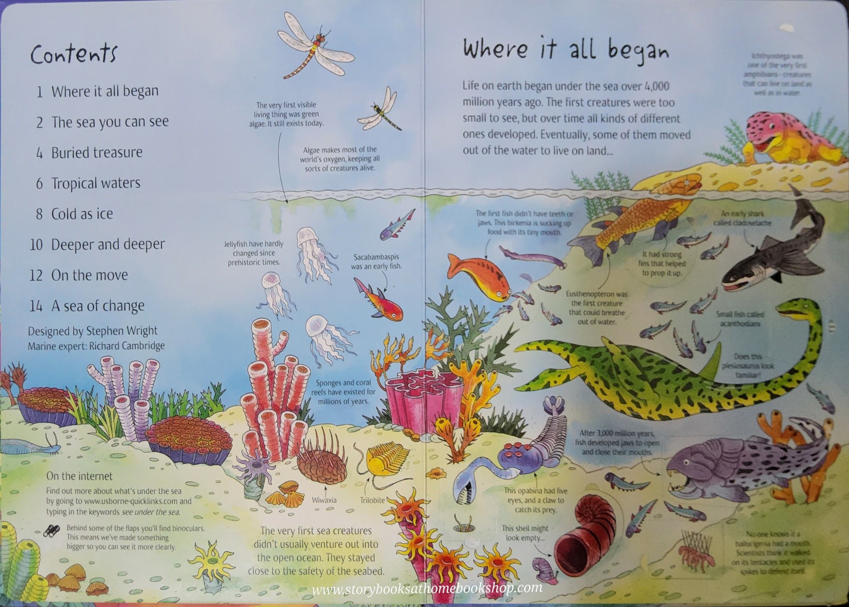 RECOMMENED SCIENCE BOOK** **Knowledge Book** ð
ð
An Usborne Flap book See UNDER THE SEA with over 80 flaps to lift