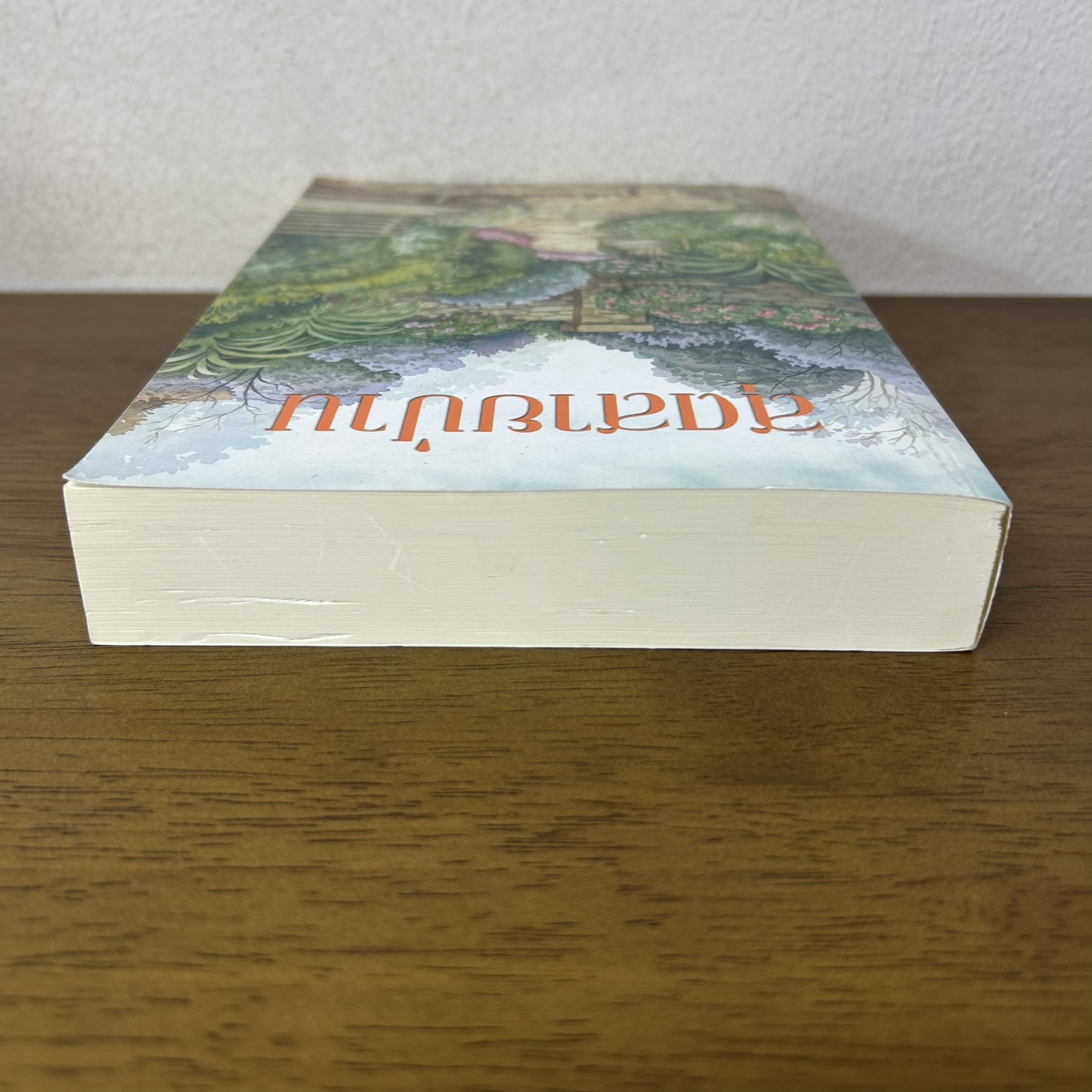 สุดสายป่าน ... ชูวงศ์ ฉายะจินดา (มือสอง) นิยาย โรแมนติก เพื่อนดี