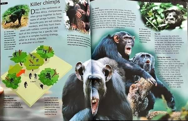 KNOWLEDGE BOOK 🍅🍓 KINGFISHER:Dangerous Creatures