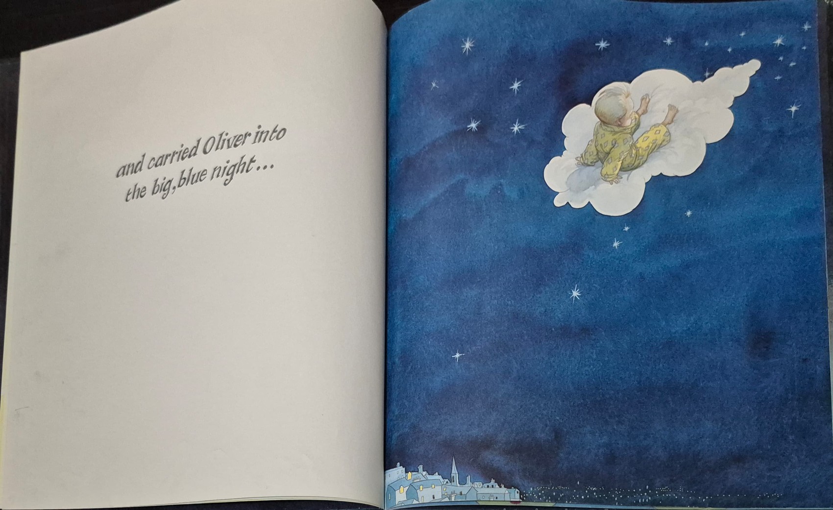 หนังสือนิทานปกแข็ง ** 🍅🍓THE WISH FACTORY BY CHRIS RIDDELL