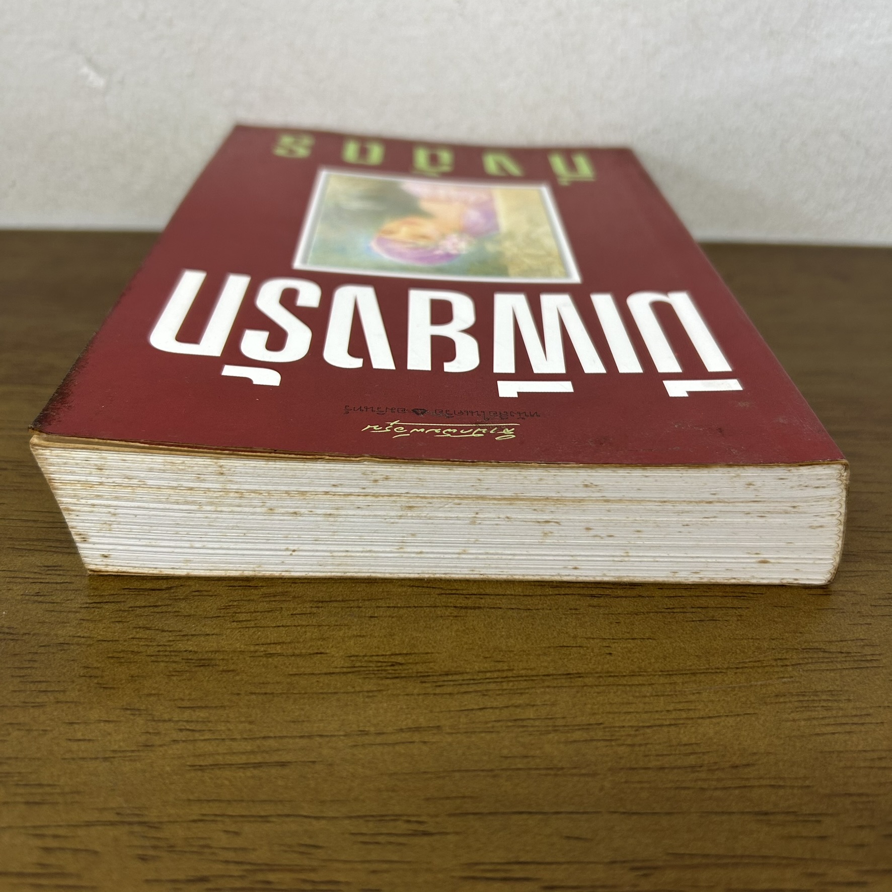 มีเพียงรัก ... กิ่งฉัตร (มือสอง) นิยาย โรแมนติก อมรินทร์