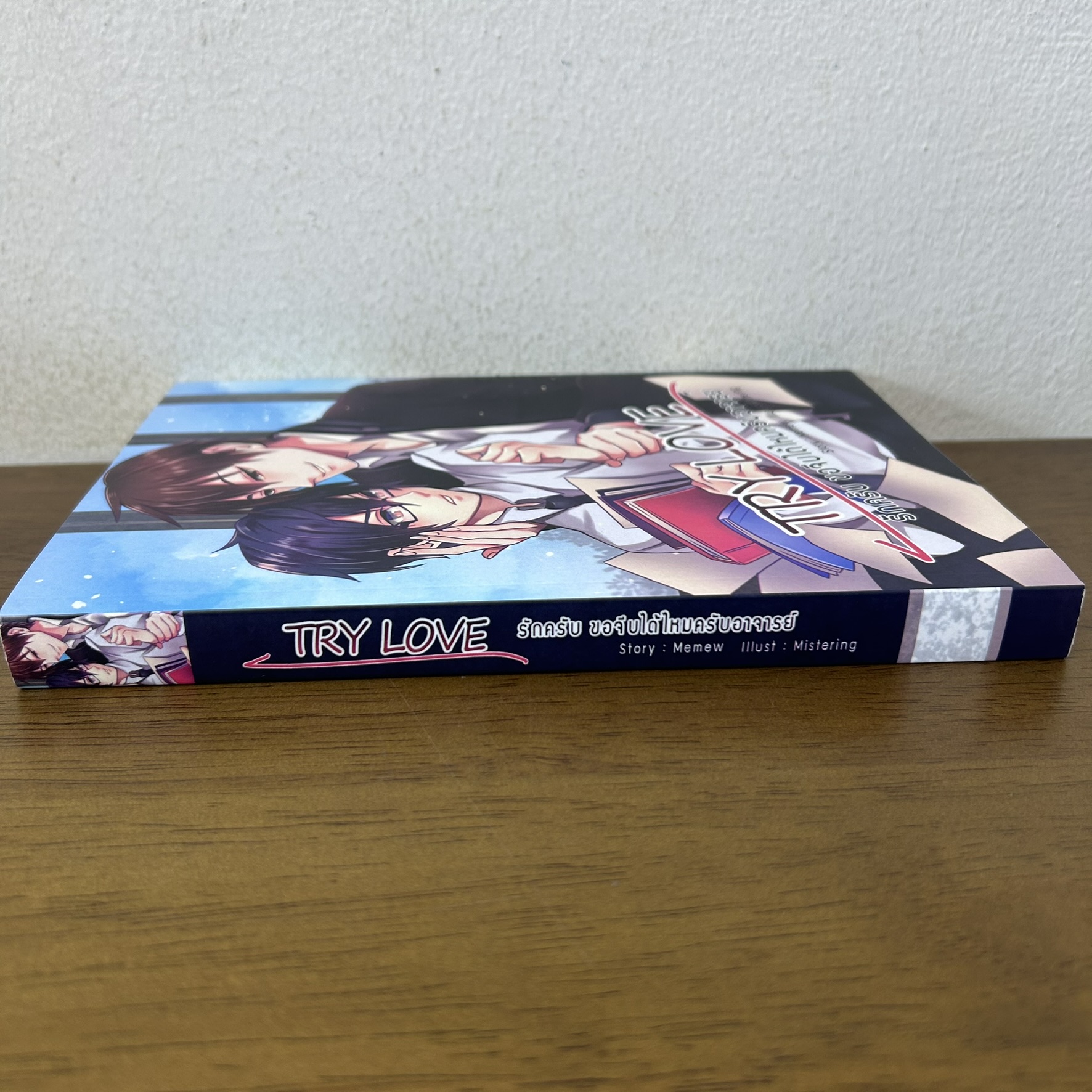 [YAOI] Try Love รักครับ ขอจีบได้ไหมครับอาจารย์ ... Memew (มือสอง) นิยายวาย