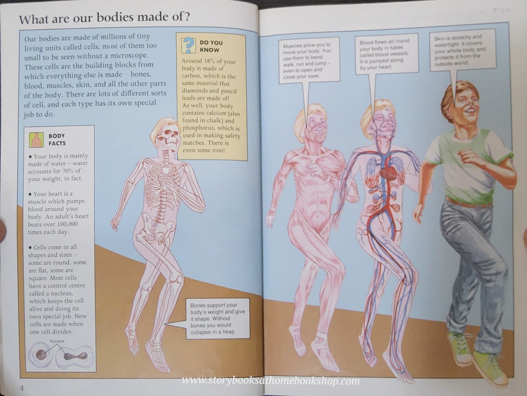 KNOWLEDGE BOOK** 🍅🍓THE HUMAN BODY&HOW IT WORKS