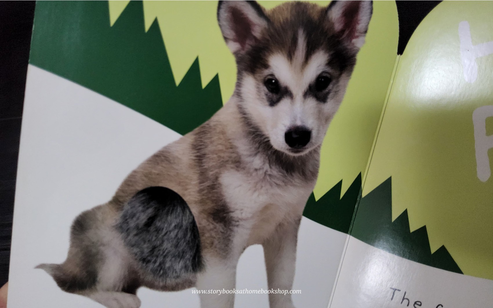 TOUCH AND FEEL BOARD BOOK** ð
ðLITTLE PENGUIN