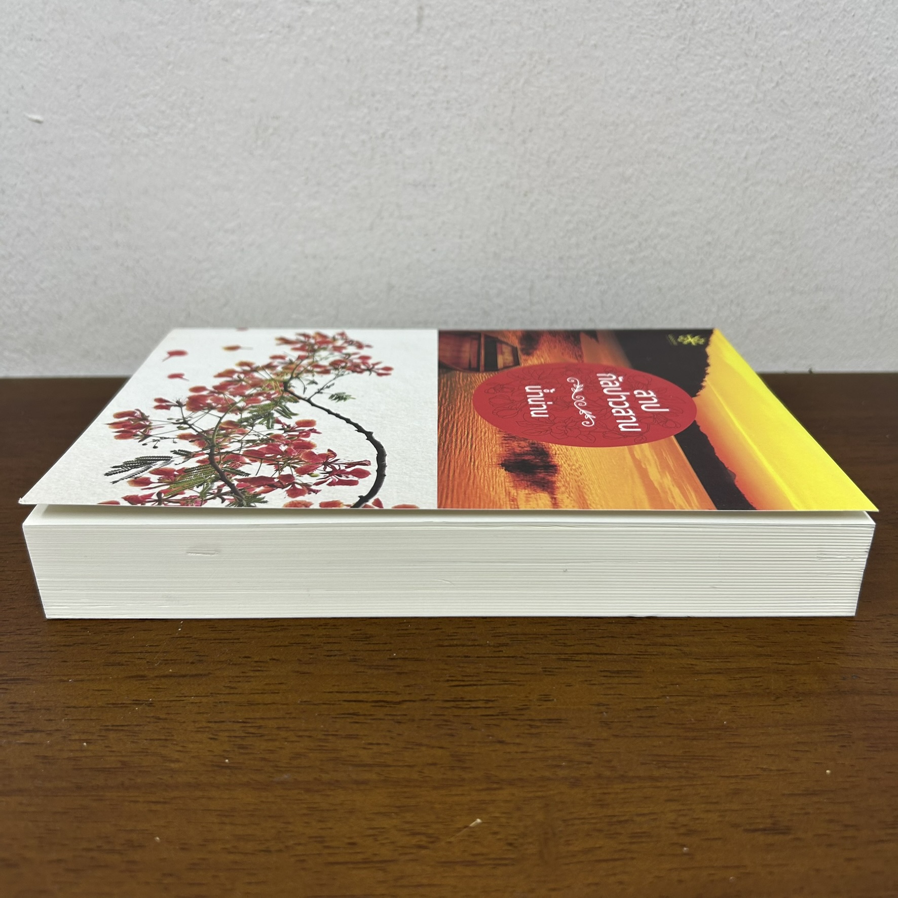 สาปกัลปาวสาน ... น้ำน่าน (มือสอง) นิยาย โรแมนติก groove