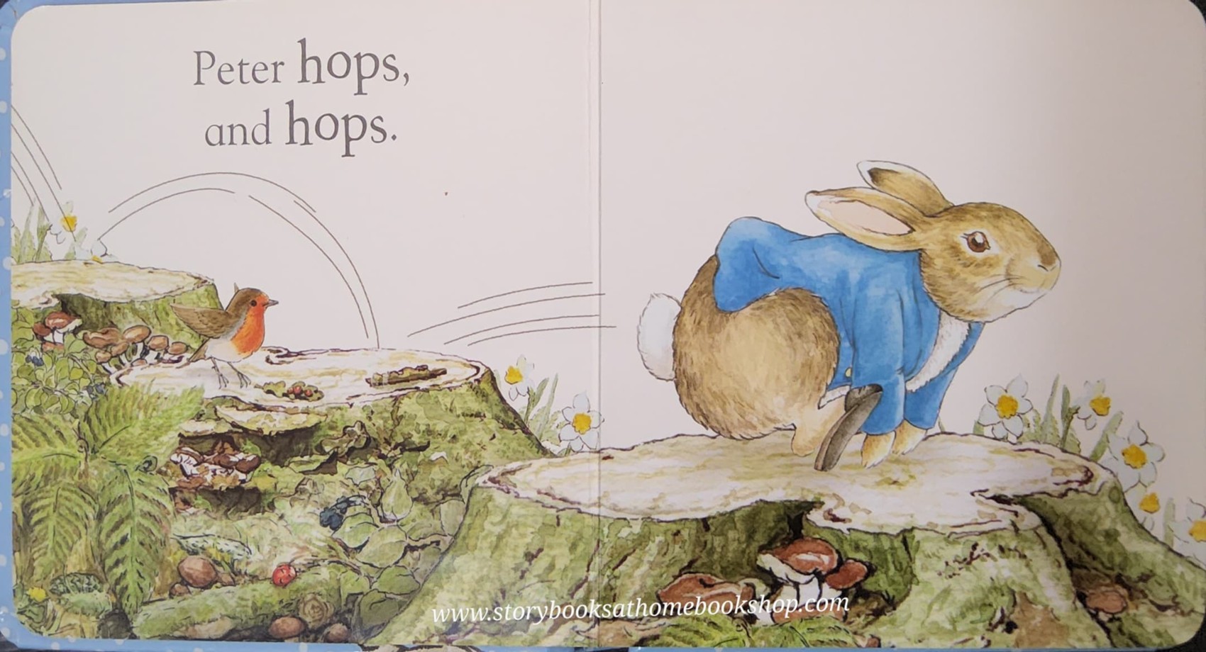 BOARD BOOK** 🍅🍓A PETER RABBIT TALE:HELLO PETER