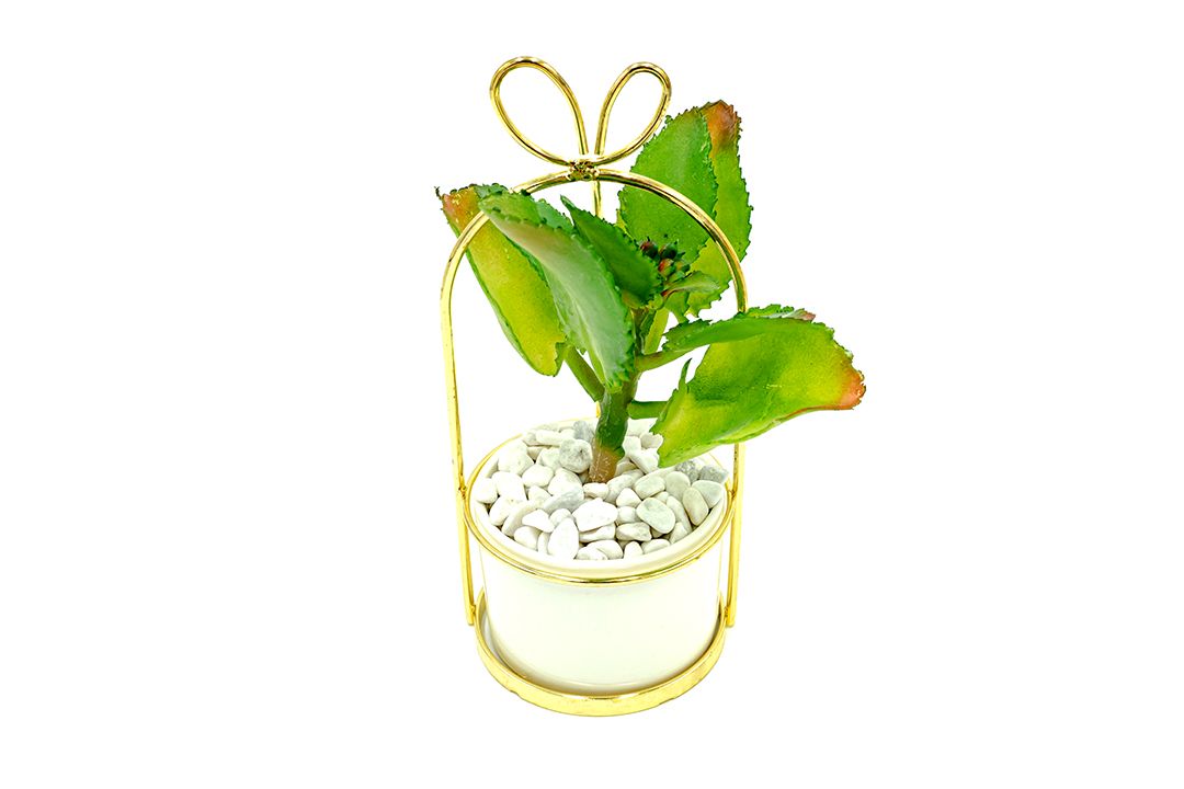 Artificial plant ต้นไม้ปลอม ต้นไม้ประดับตกแต่ง Cactus 10x10x22 cm